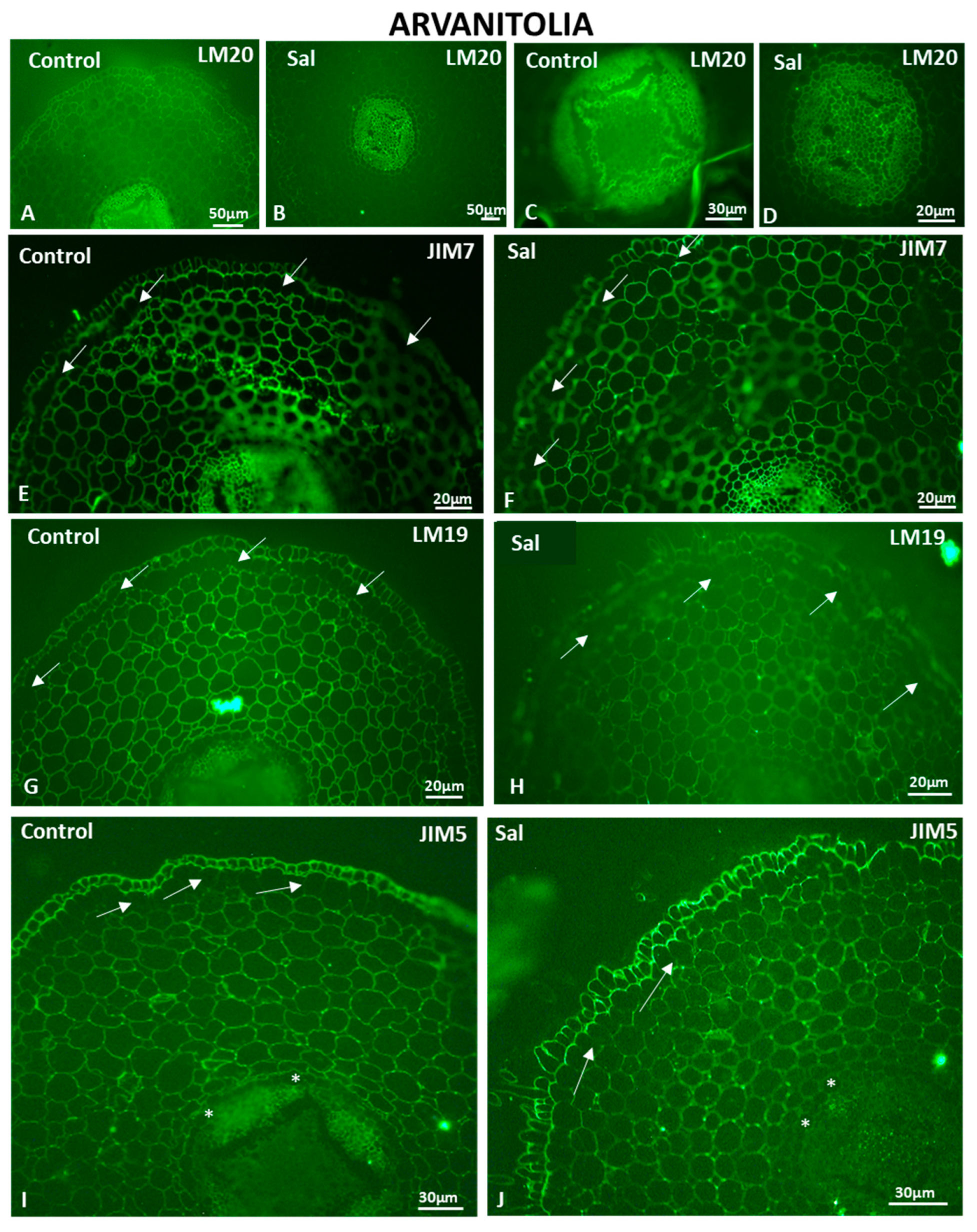 Cells 12 01466 g012 Cells 12 01466 g012