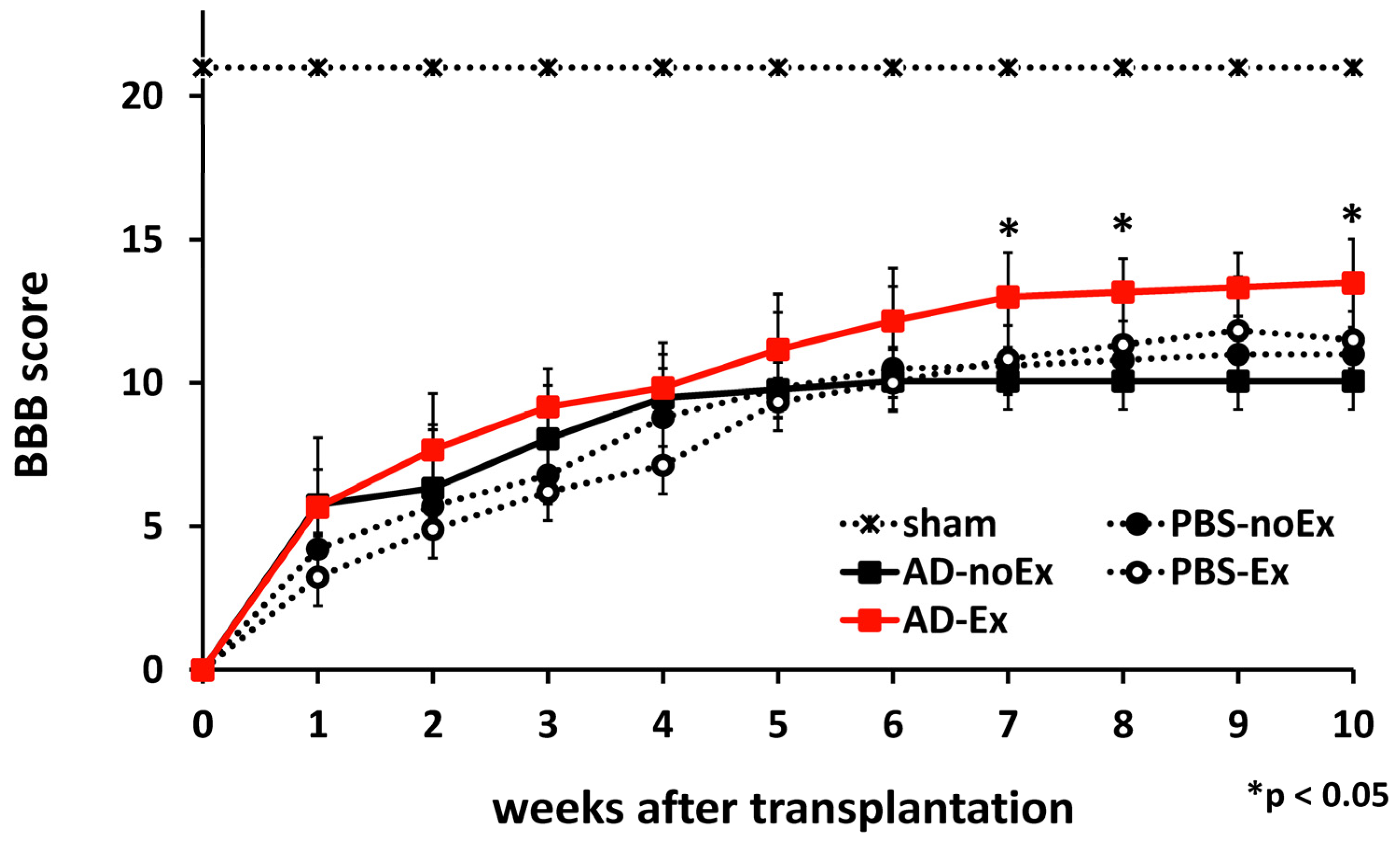 Cells 12 01470 g003 Cells 12 01470 g003