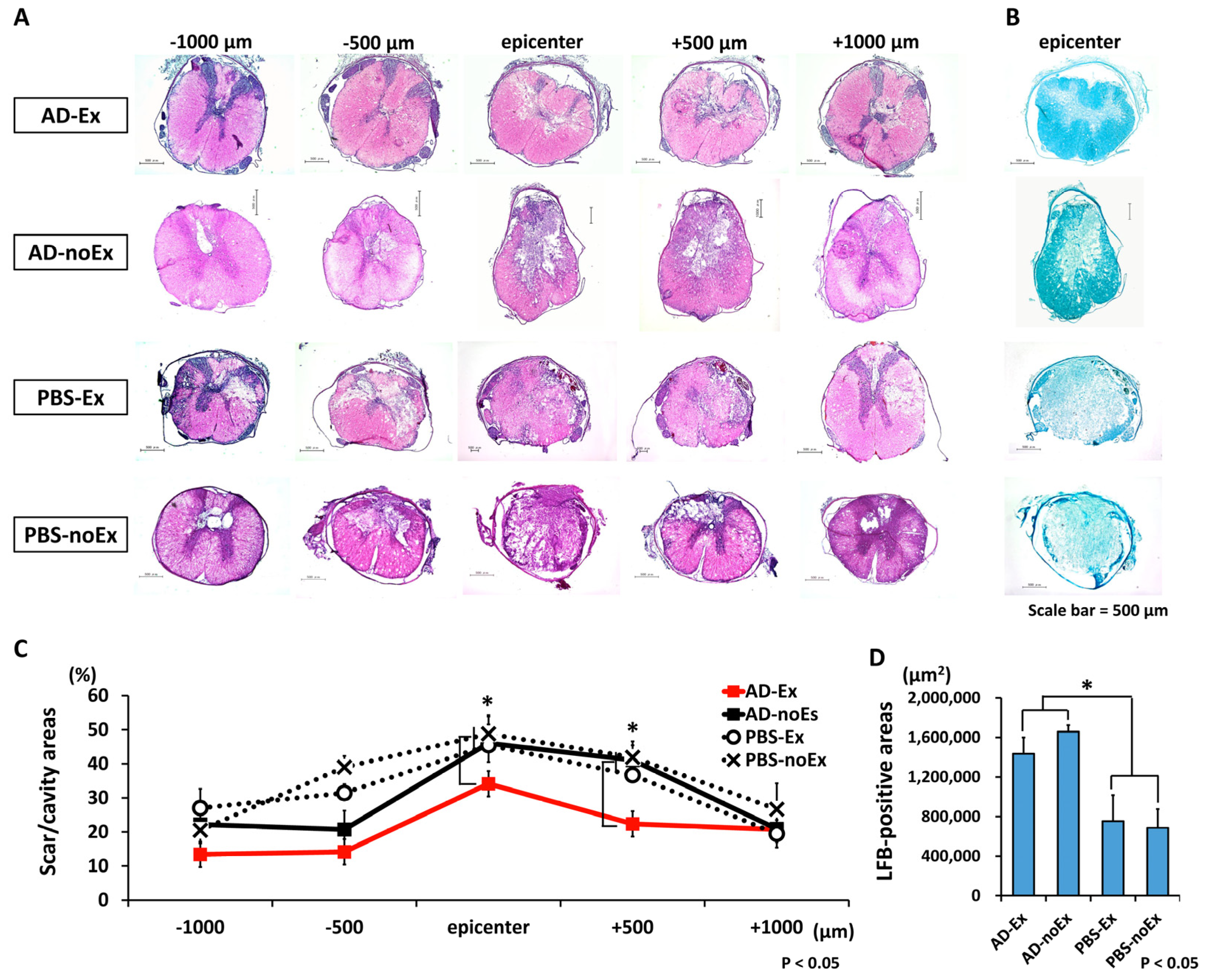 Cells 12 01470 g006 Cells 12 01470 g006