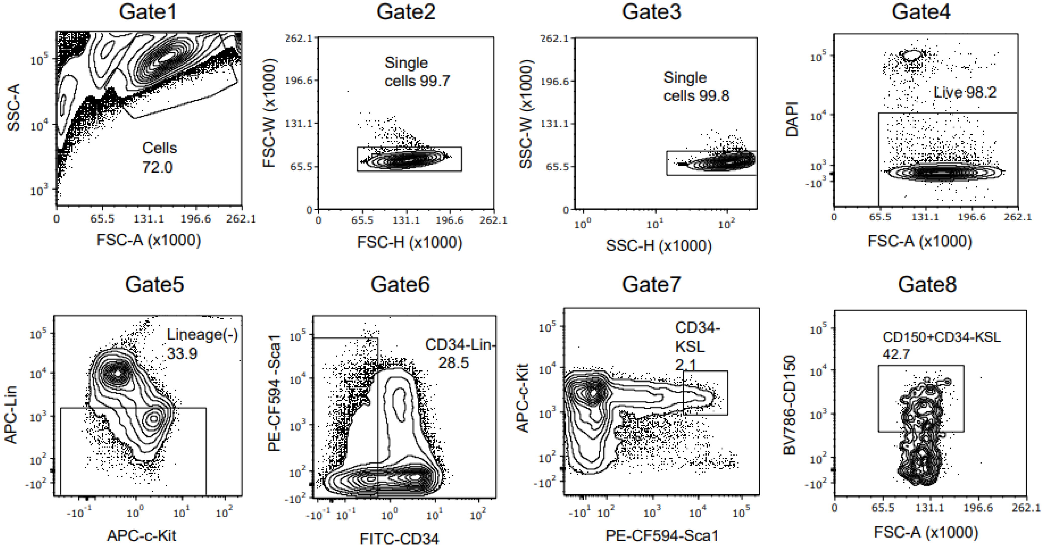 Cells 12 01473 g001 Cells 12 01473 g001