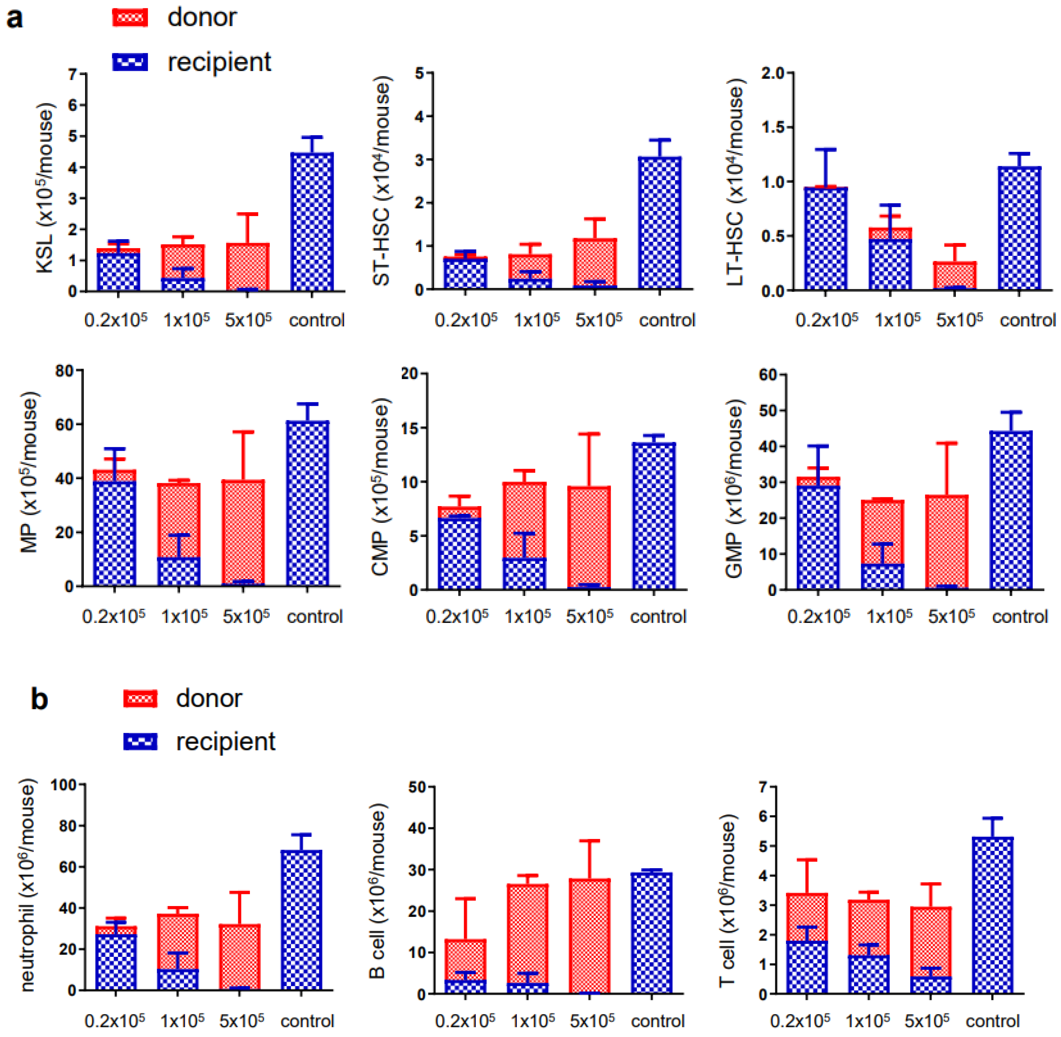 Cells 12 01473 g003 Cells 12 01473 g003