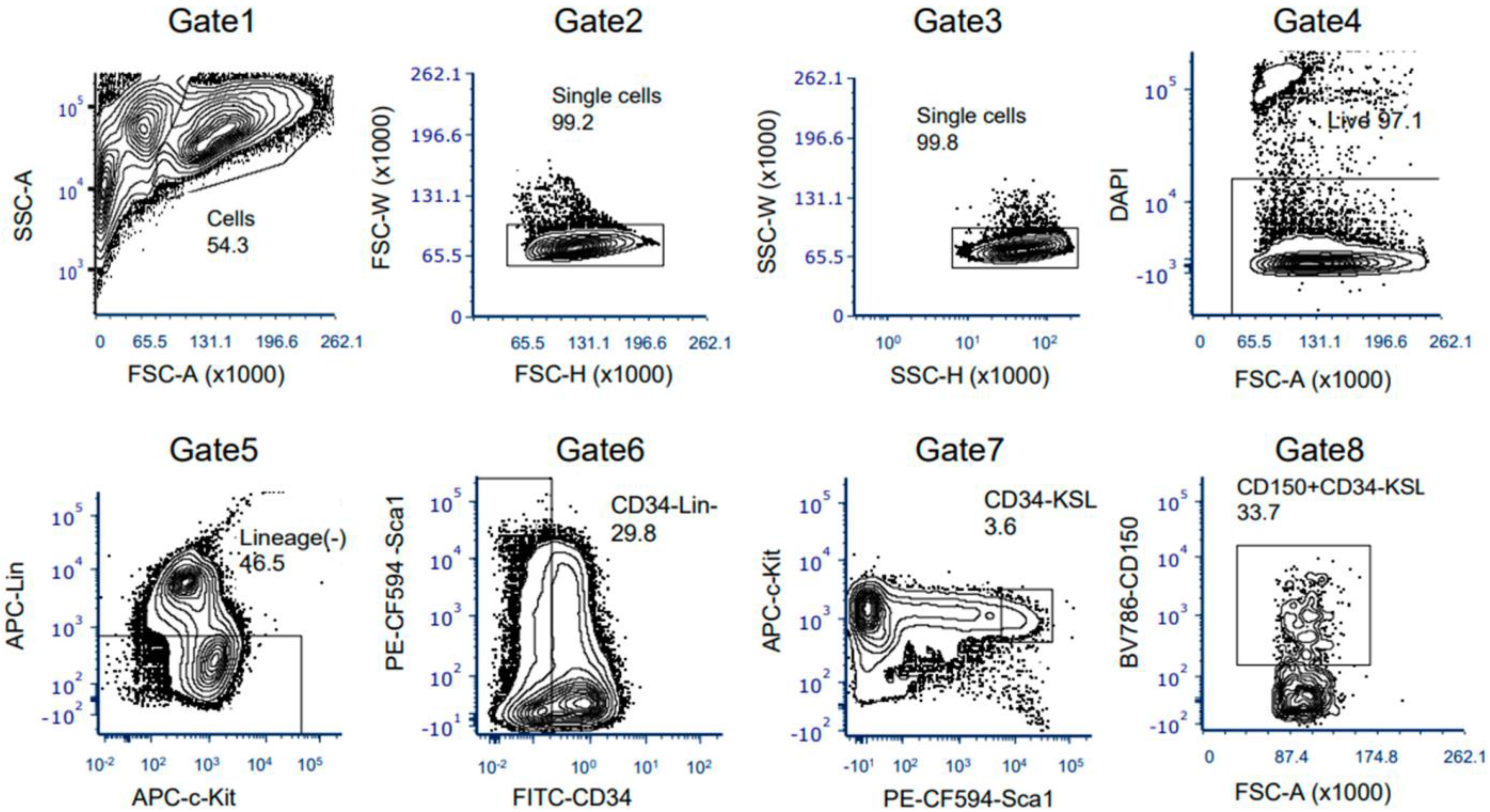 Cells 12 01473 g004 Cells 12 01473 g004