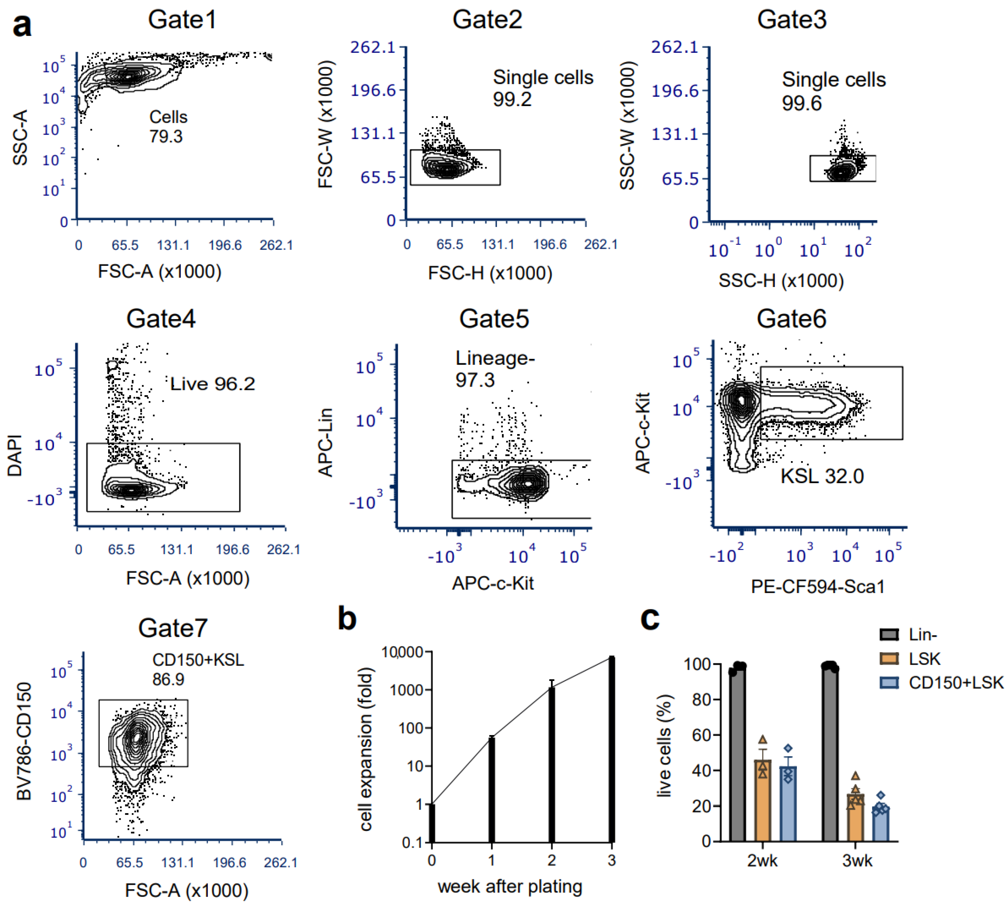 Cells 12 01473 g005 Cells 12 01473 g005