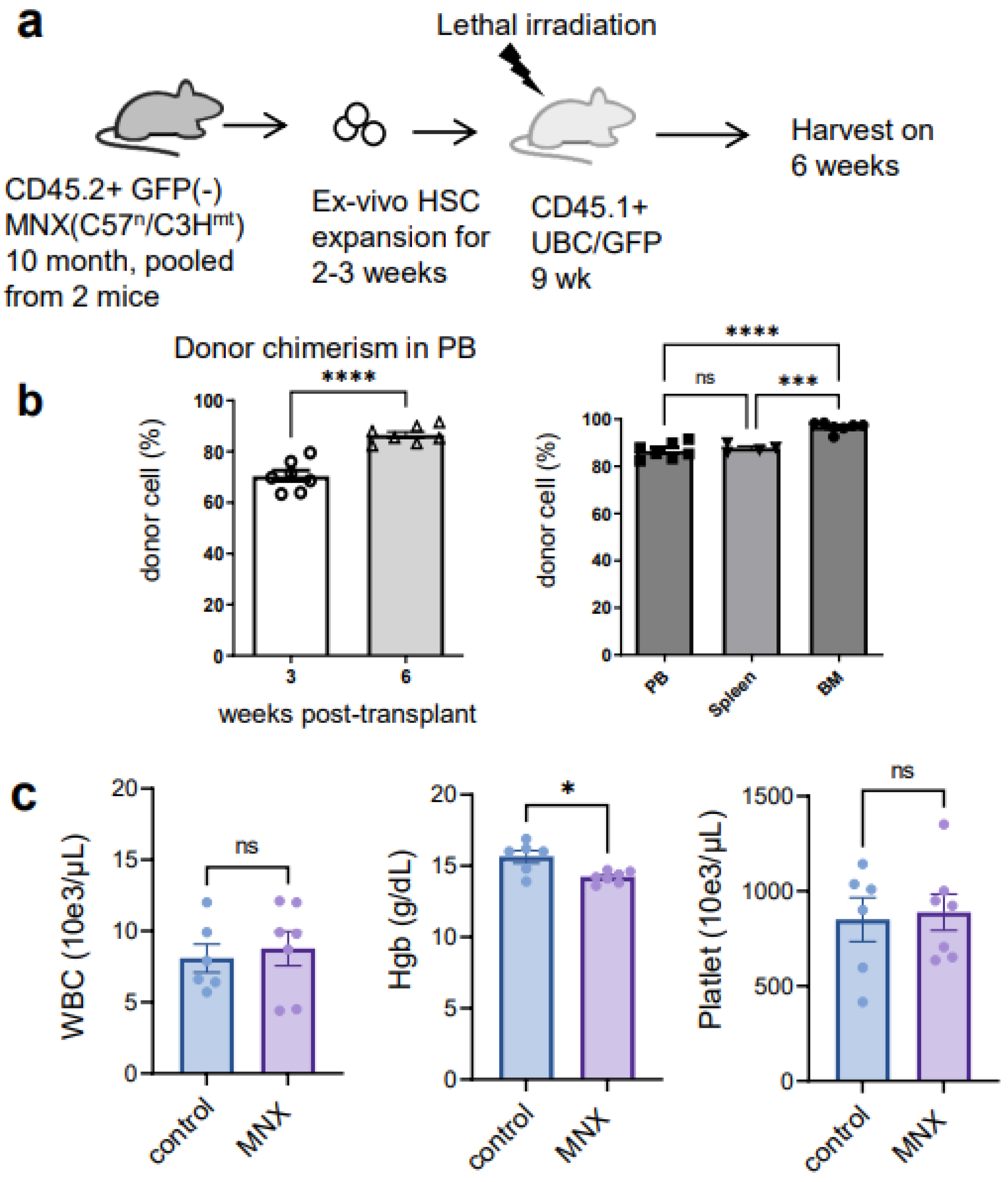 Cells 12 01473 g006 Cells 12 01473 g006
