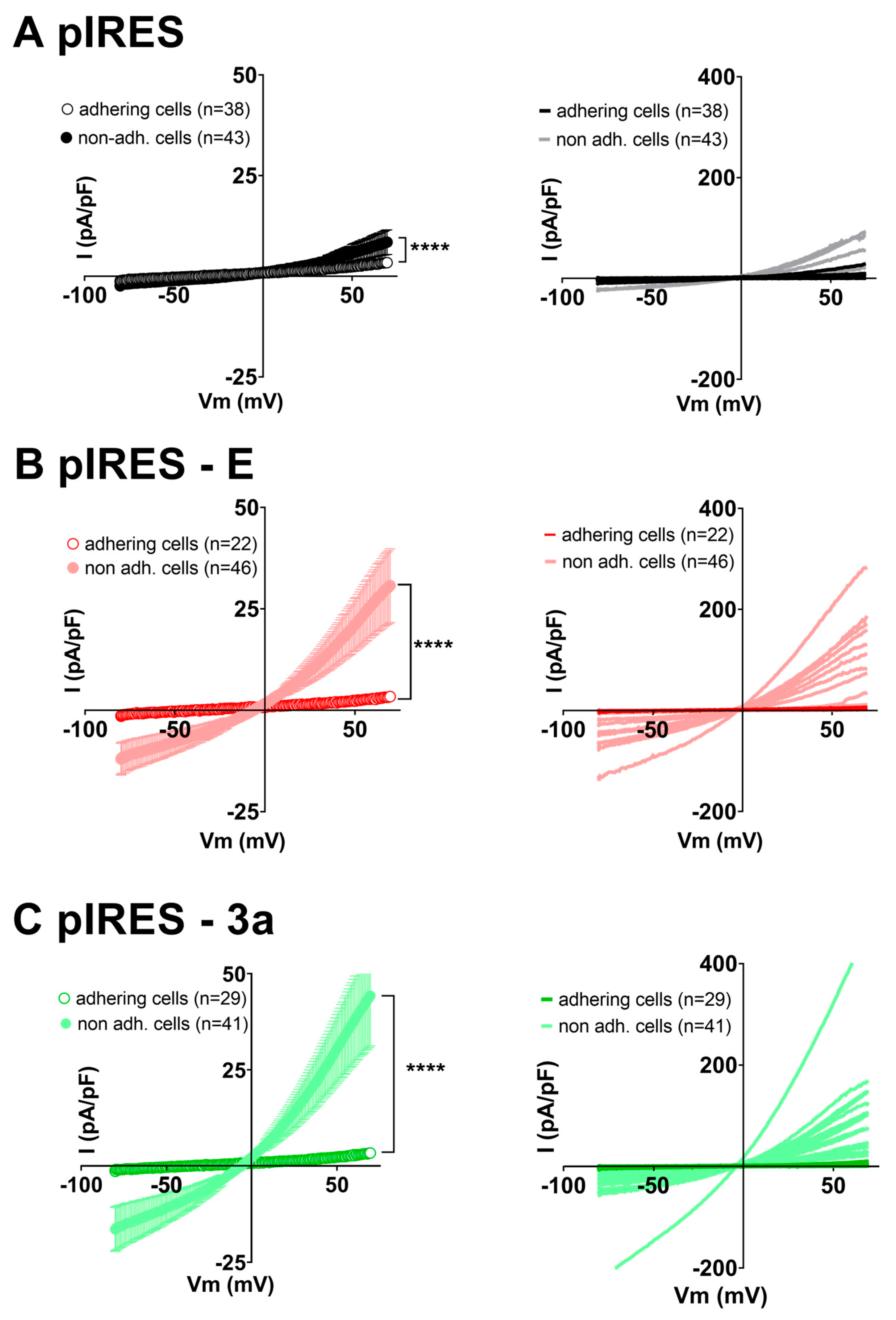 Cells 12 01474 g003 Cells 12 01474 g003