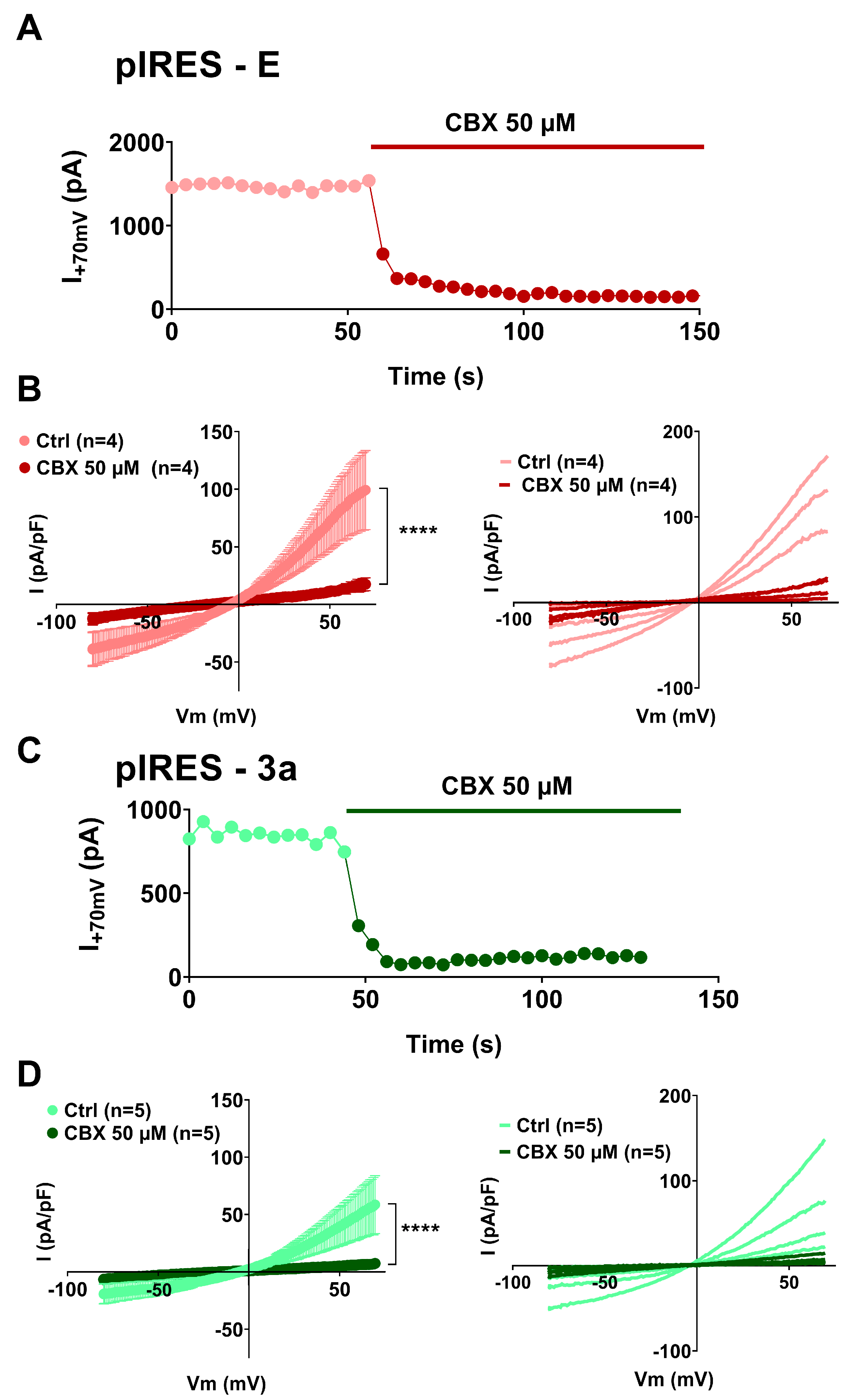 Cells 12 01474 g004 Cells 12 01474 g004