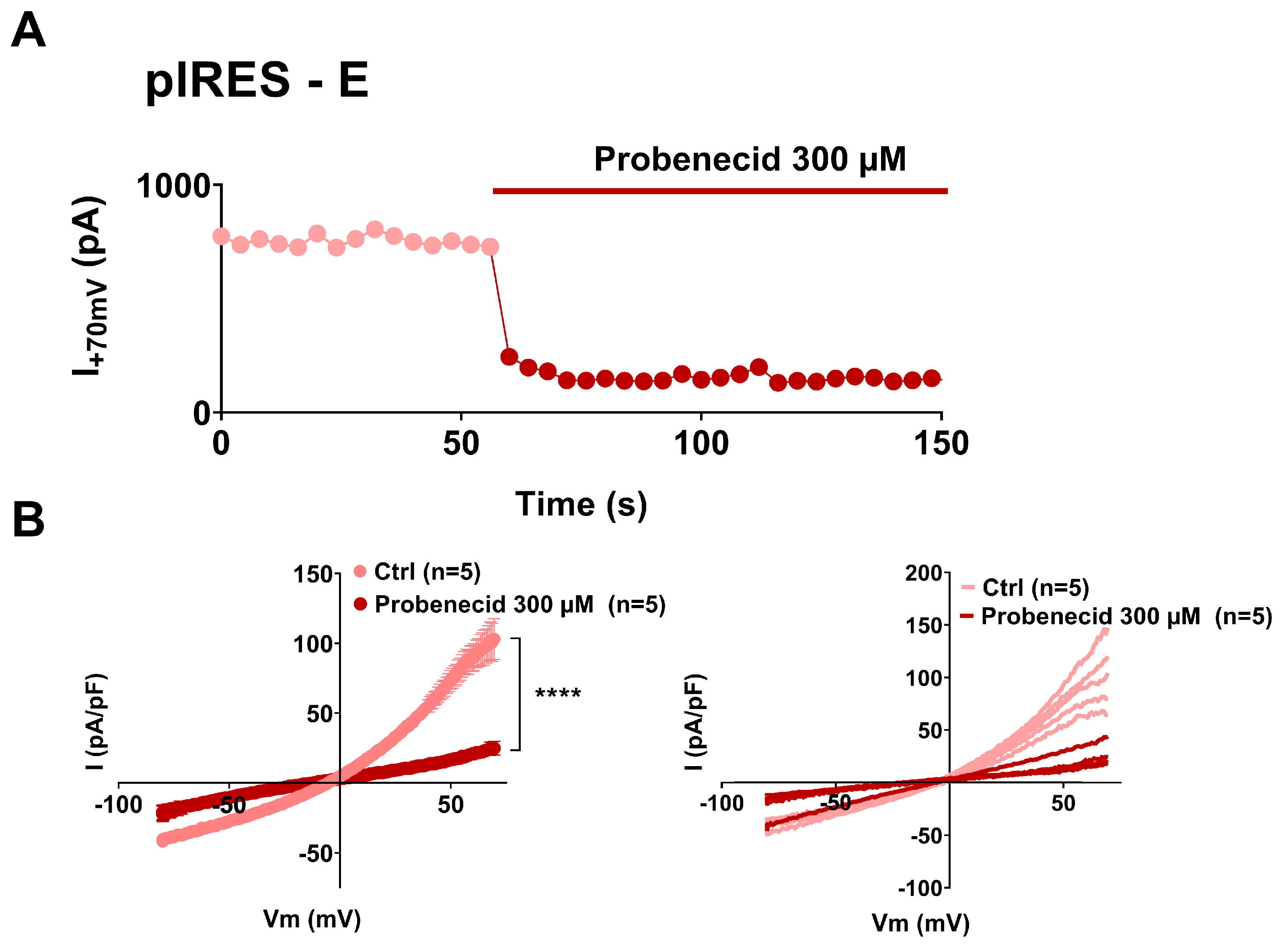 Cells 12 01474 g005 Cells 12 01474 g005