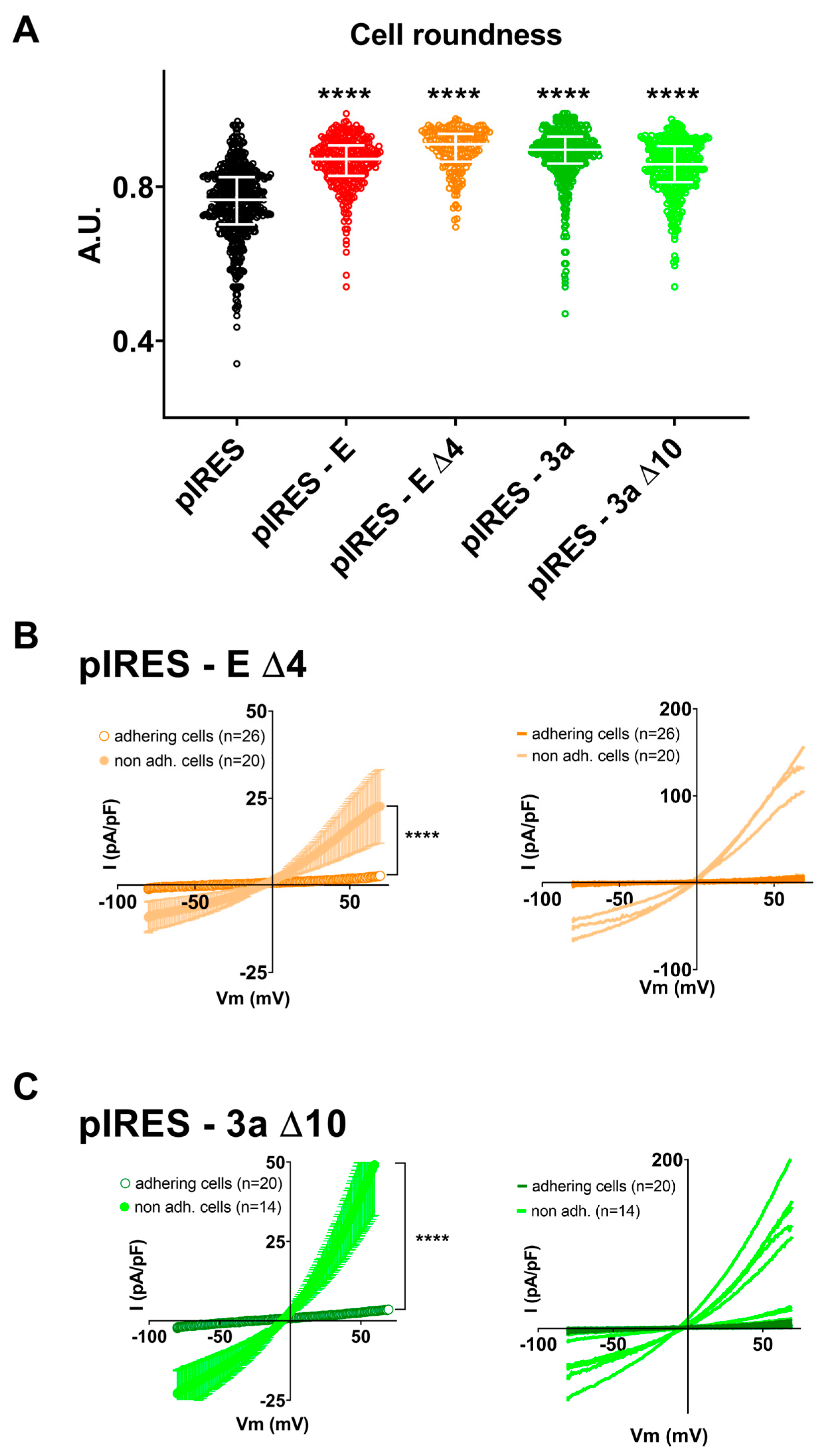 Cells 12 01474 g006 Cells 12 01474 g006