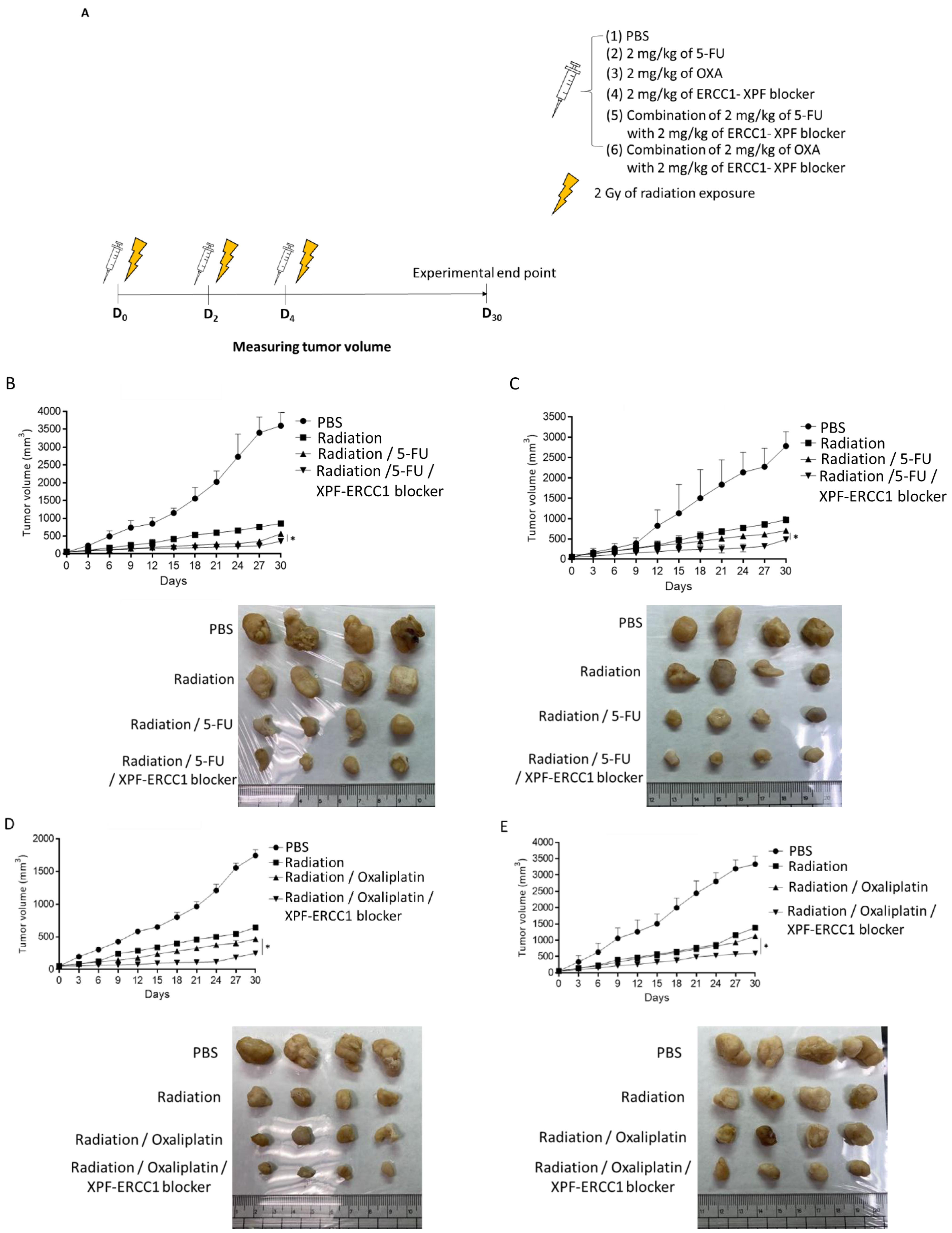 Cells 12 01475 g005a