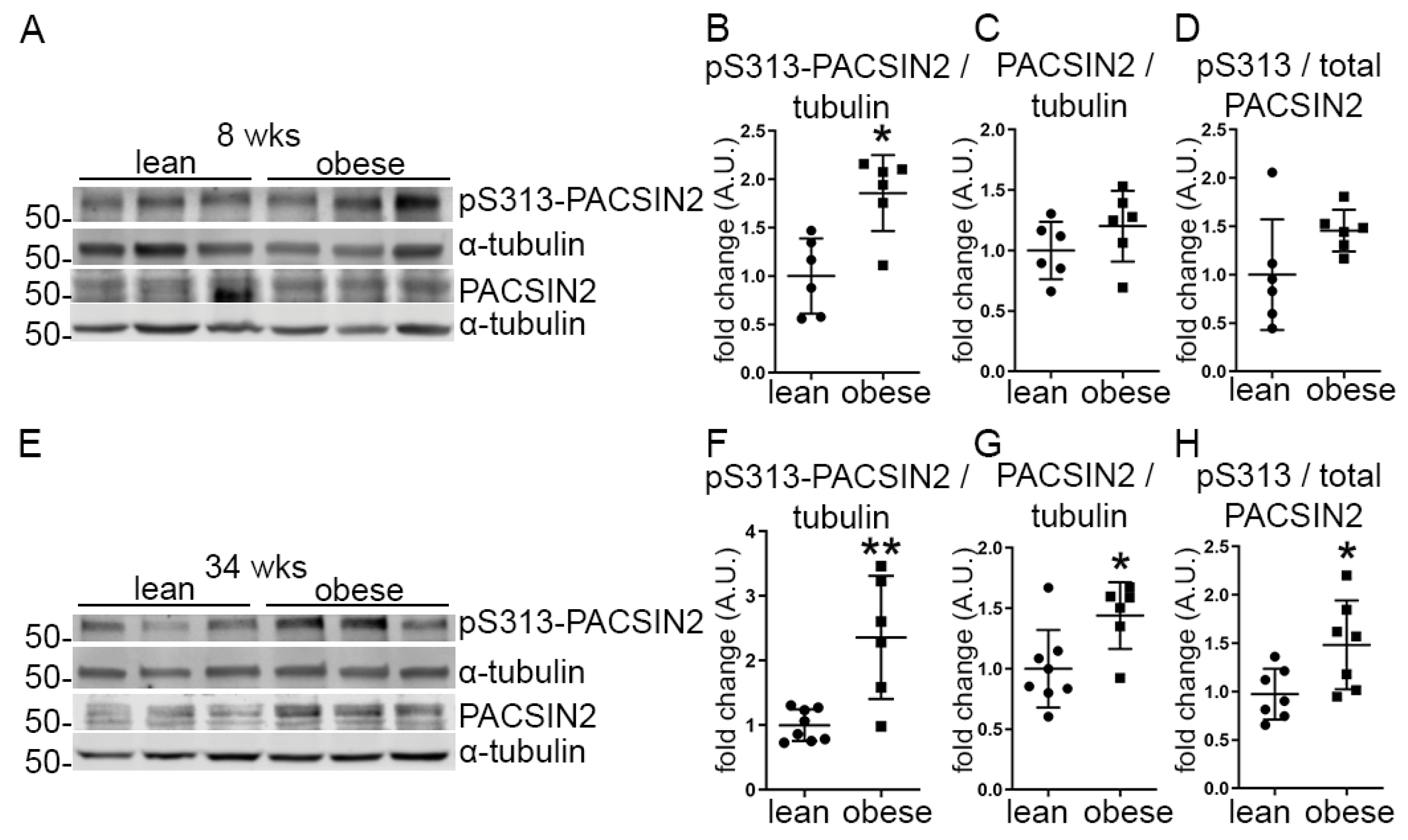 Cells 12 01487 g001 Cells 12 01487 g001