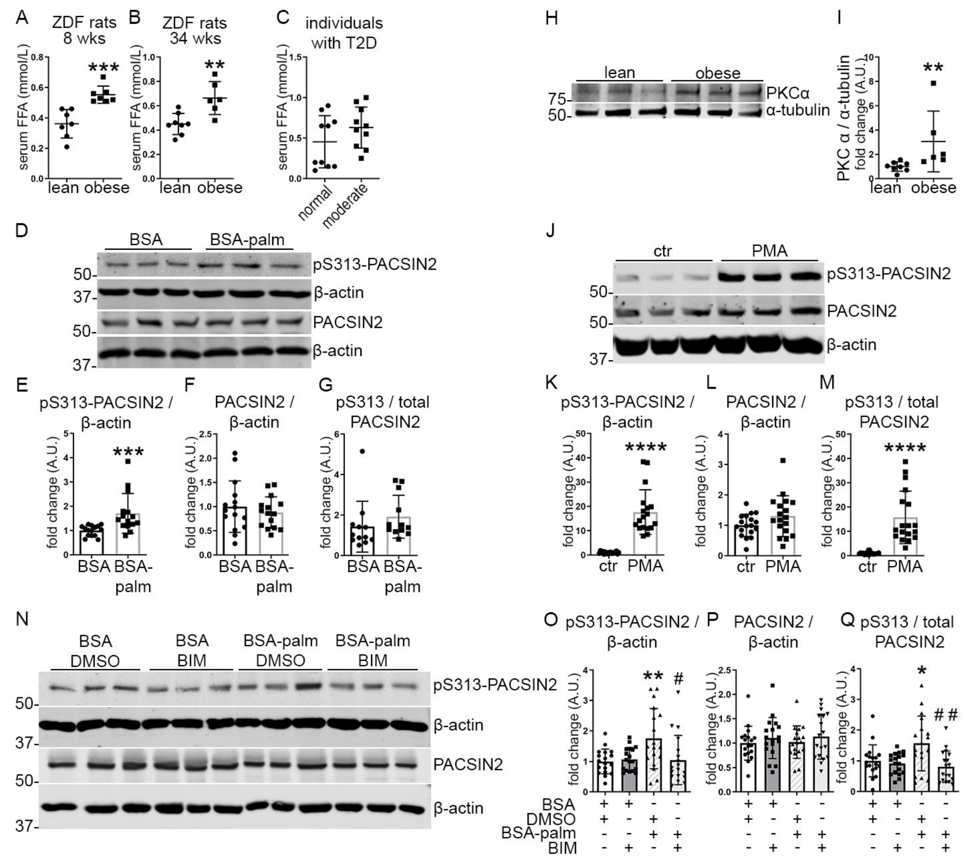 Cells 12 01487 g003 Cells 12 01487 g003