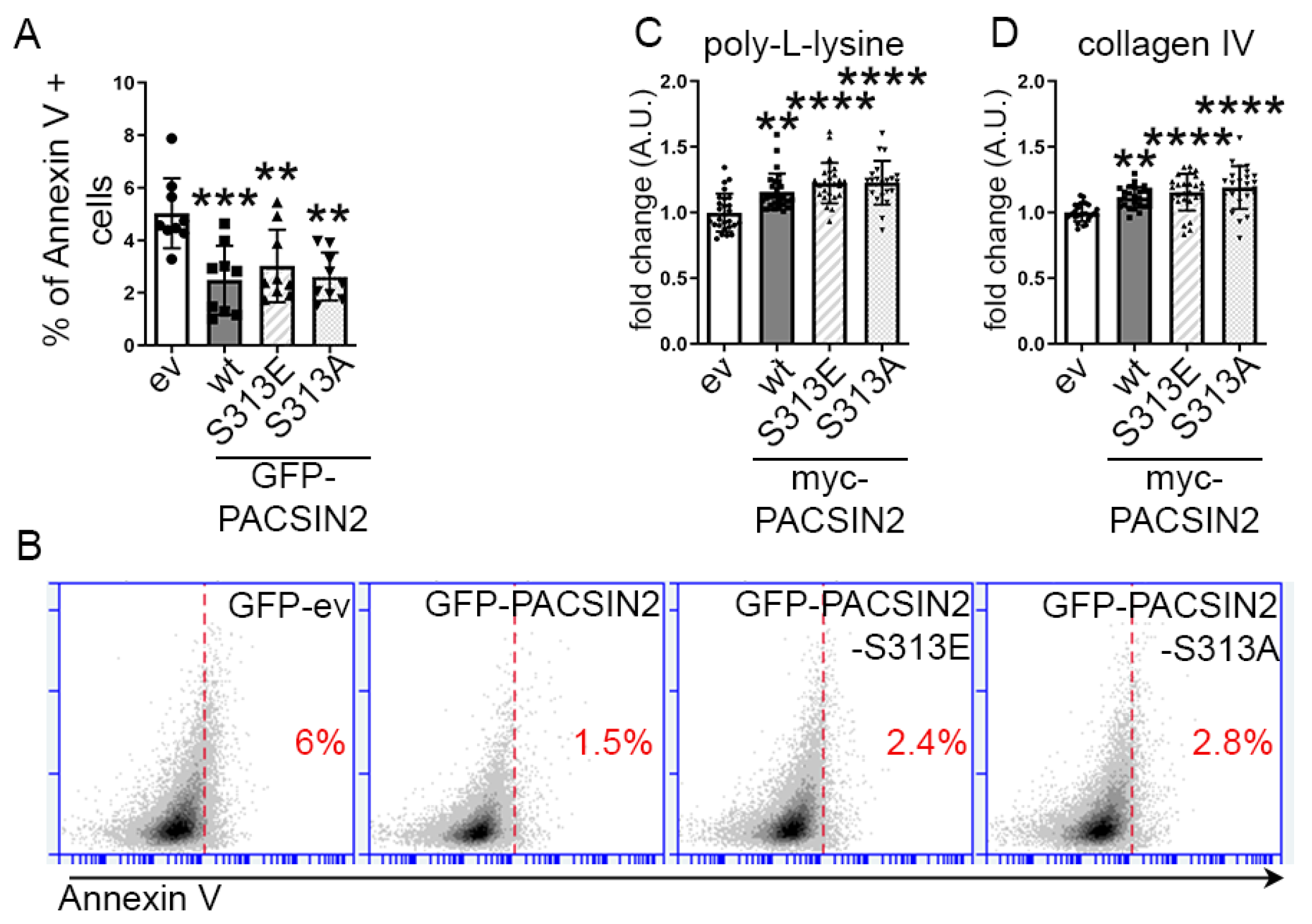 Cells 12 01487 g004 Cells 12 01487 g004