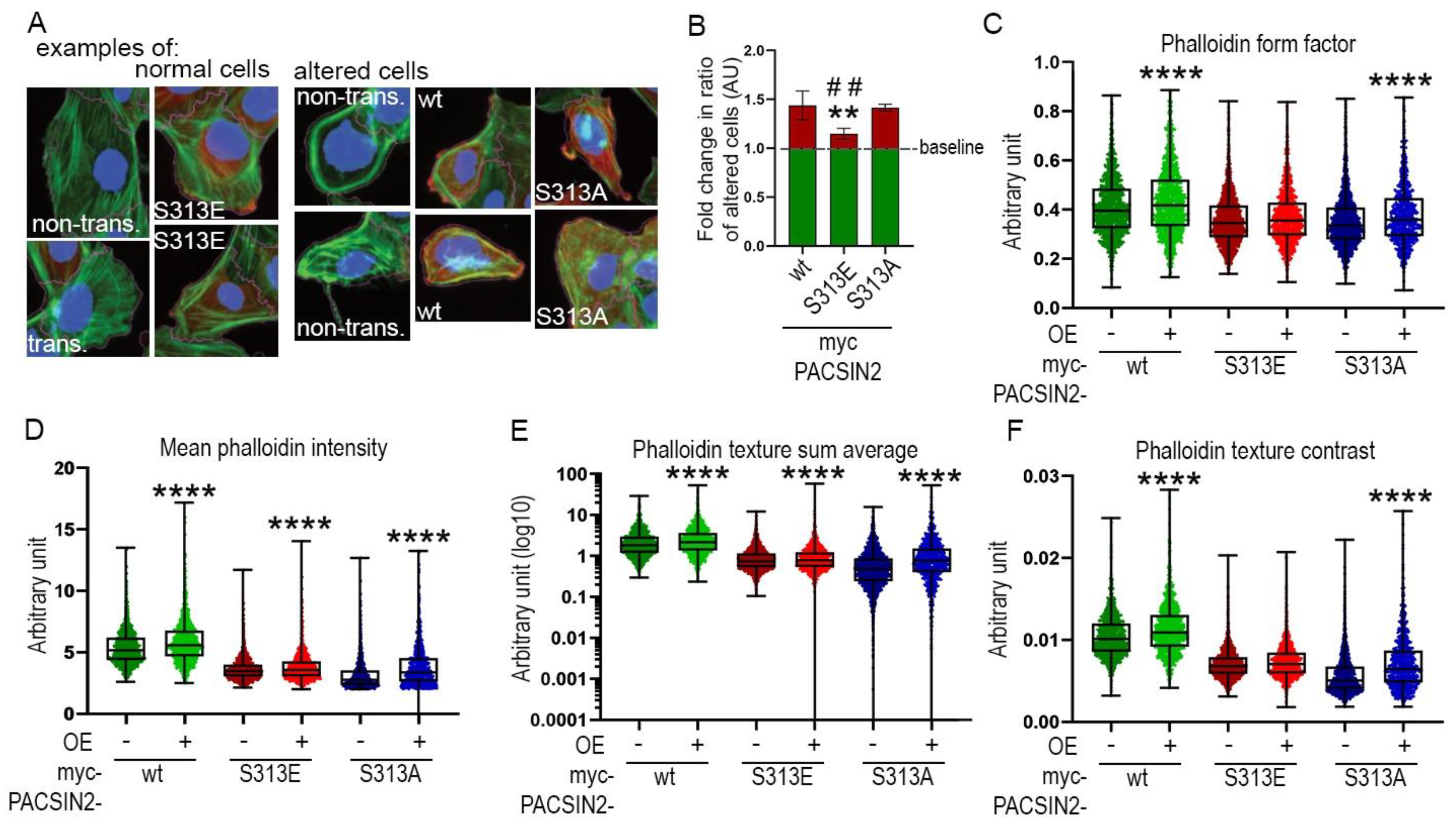 Cells 12 01487 g008 Cells 12 01487 g008