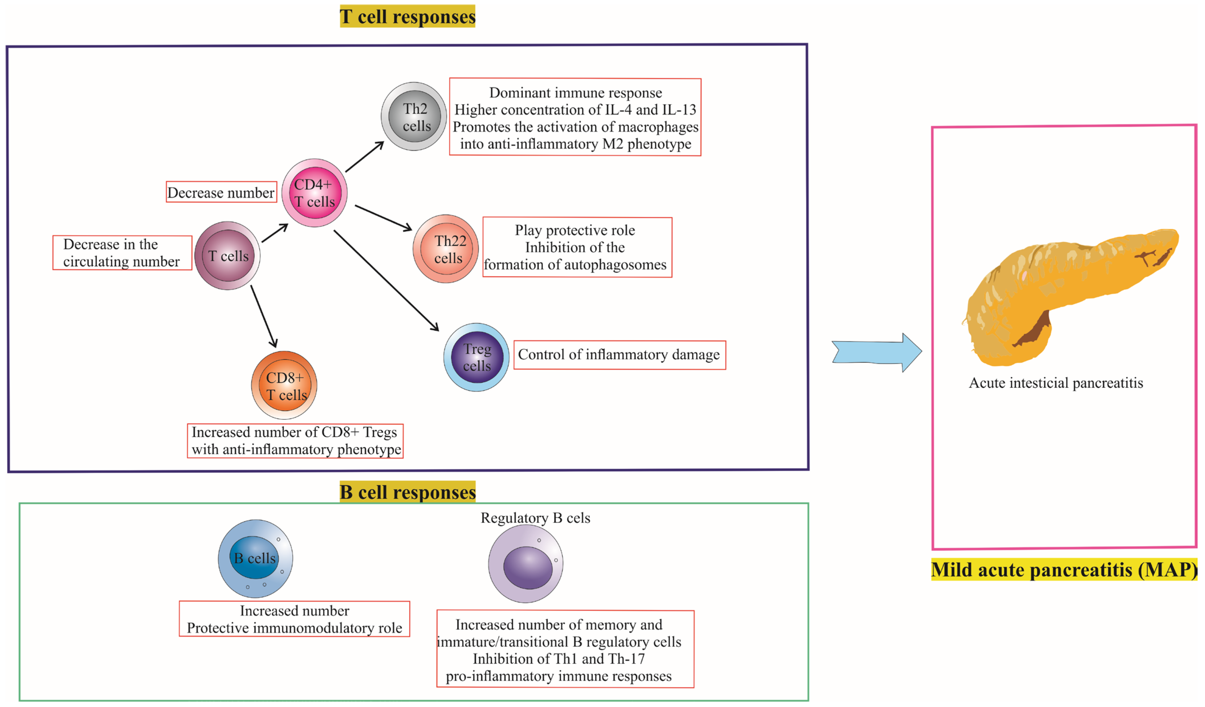 Cells 12 01495 g003 Cells 12 01495 g003