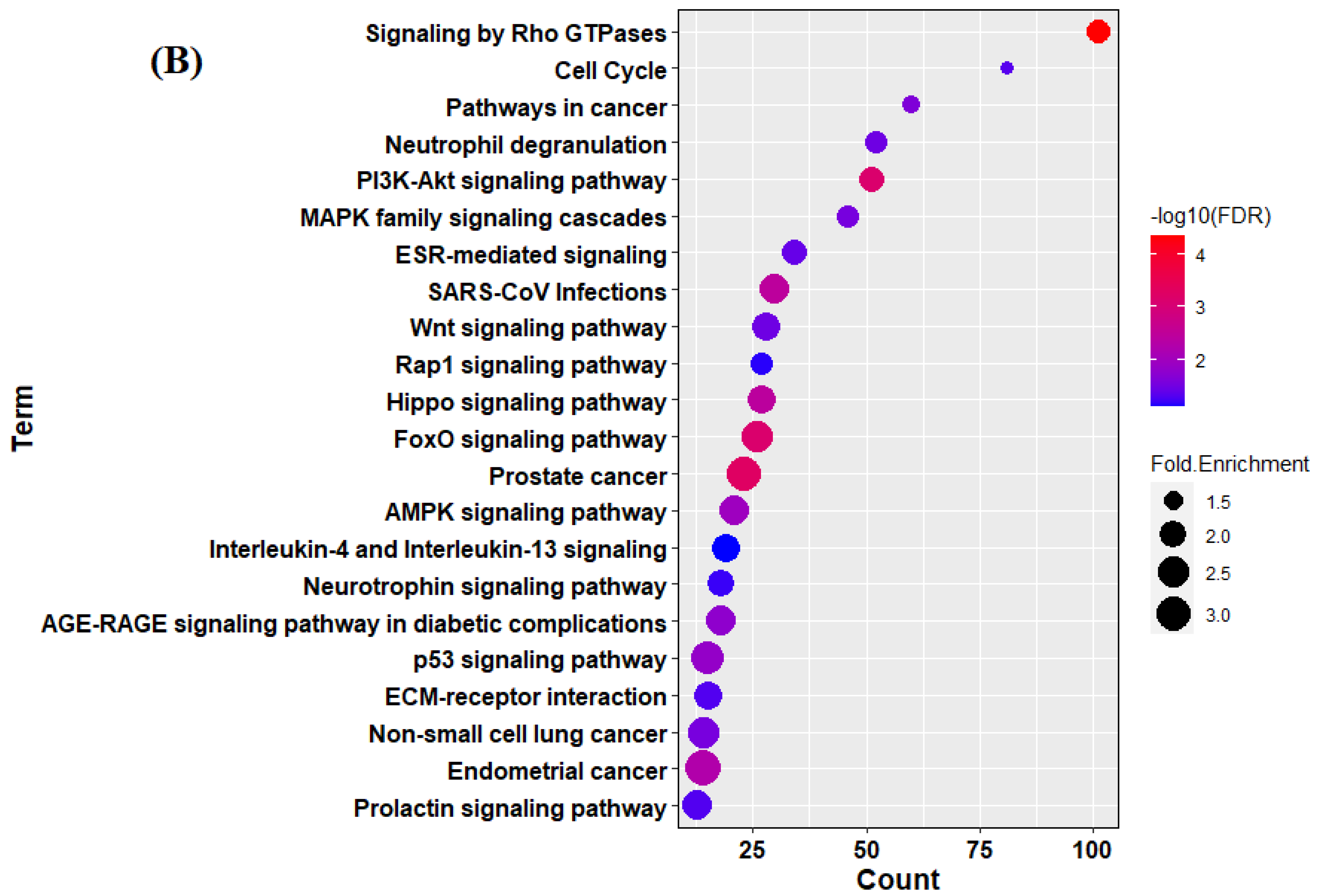 Cells 12 01505 g002b Cells 12 01505 g002b