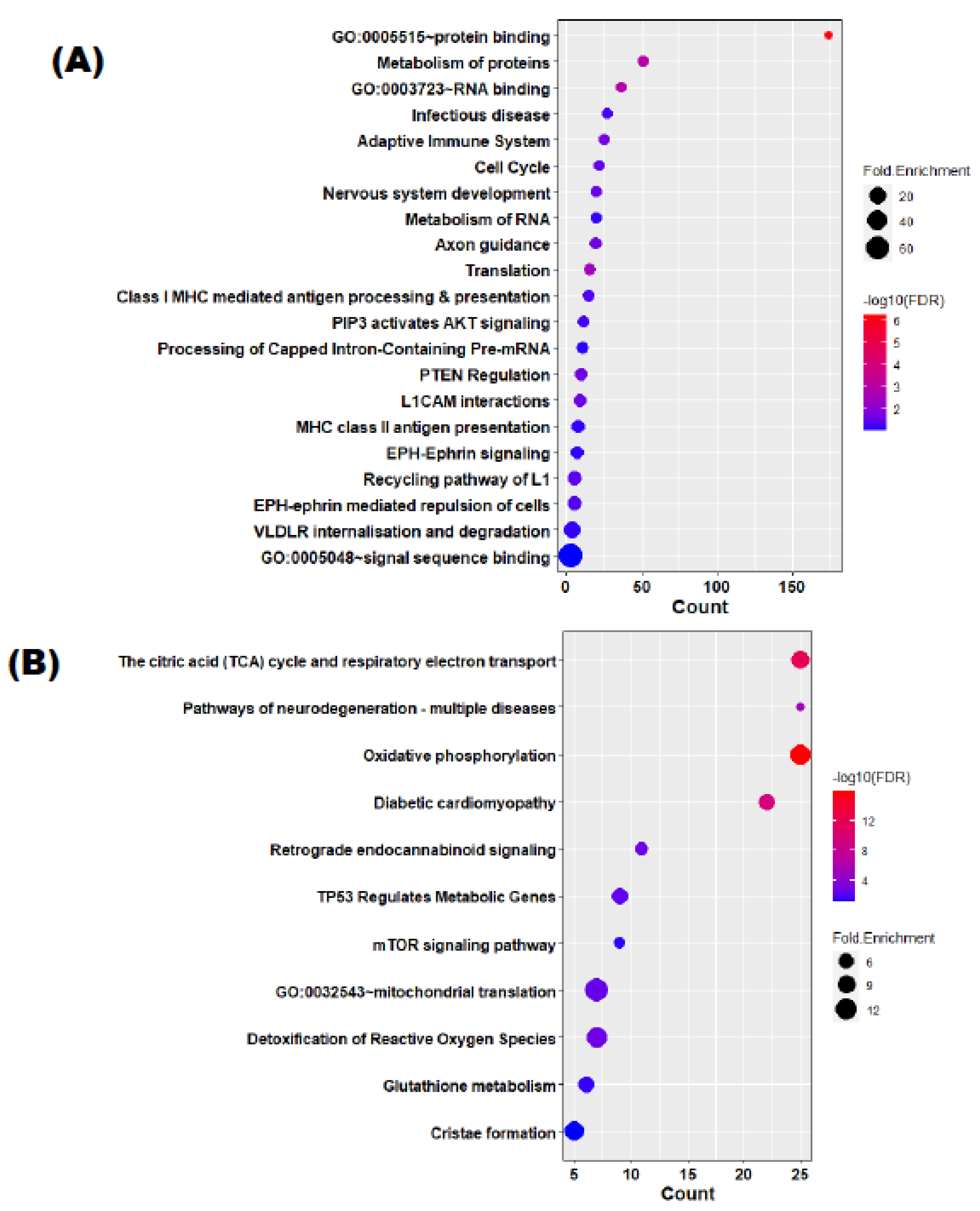 Cells 12 01505 g004 Cells 12 01505 g004