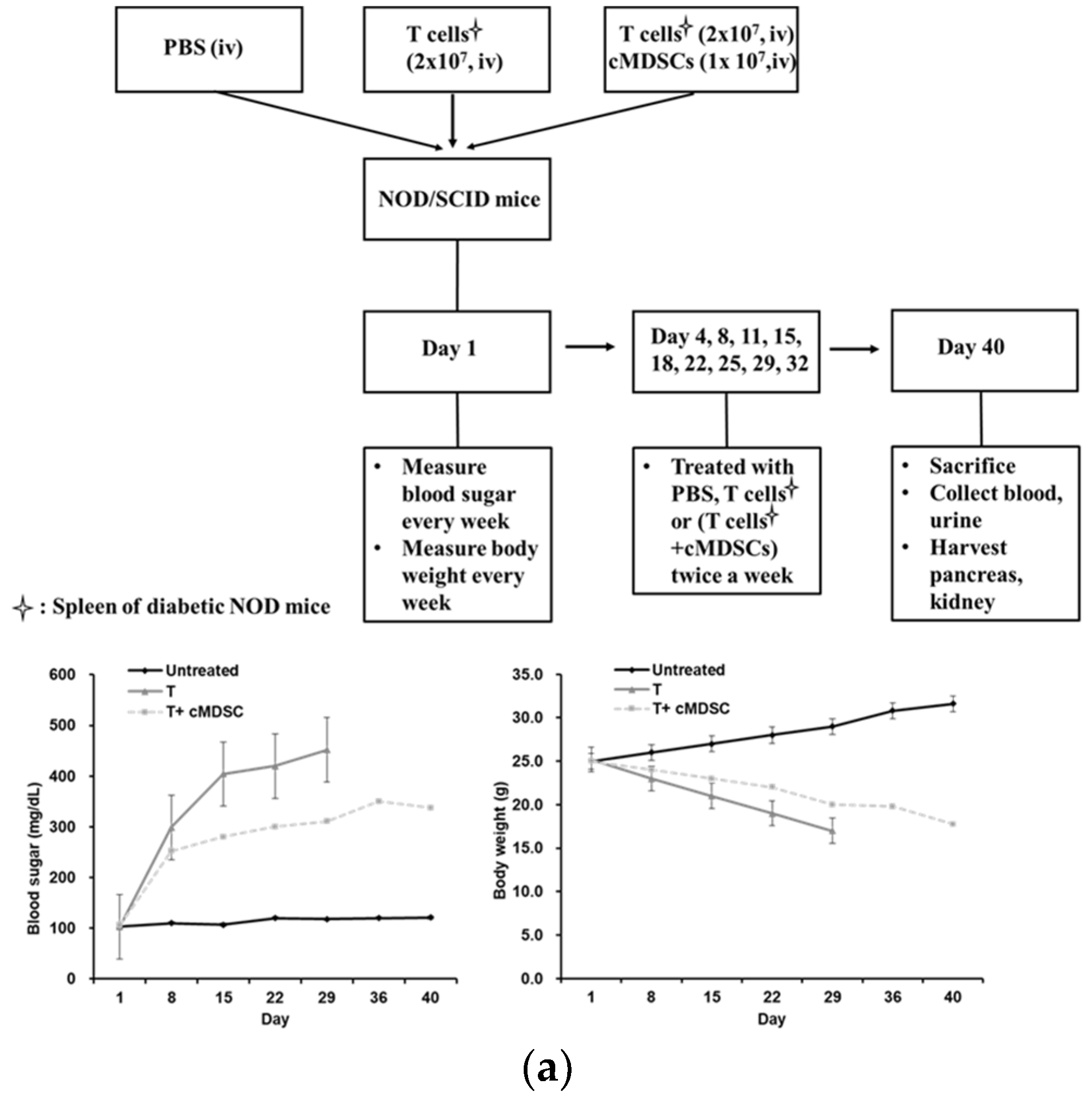 Cells 12 01507 g003a