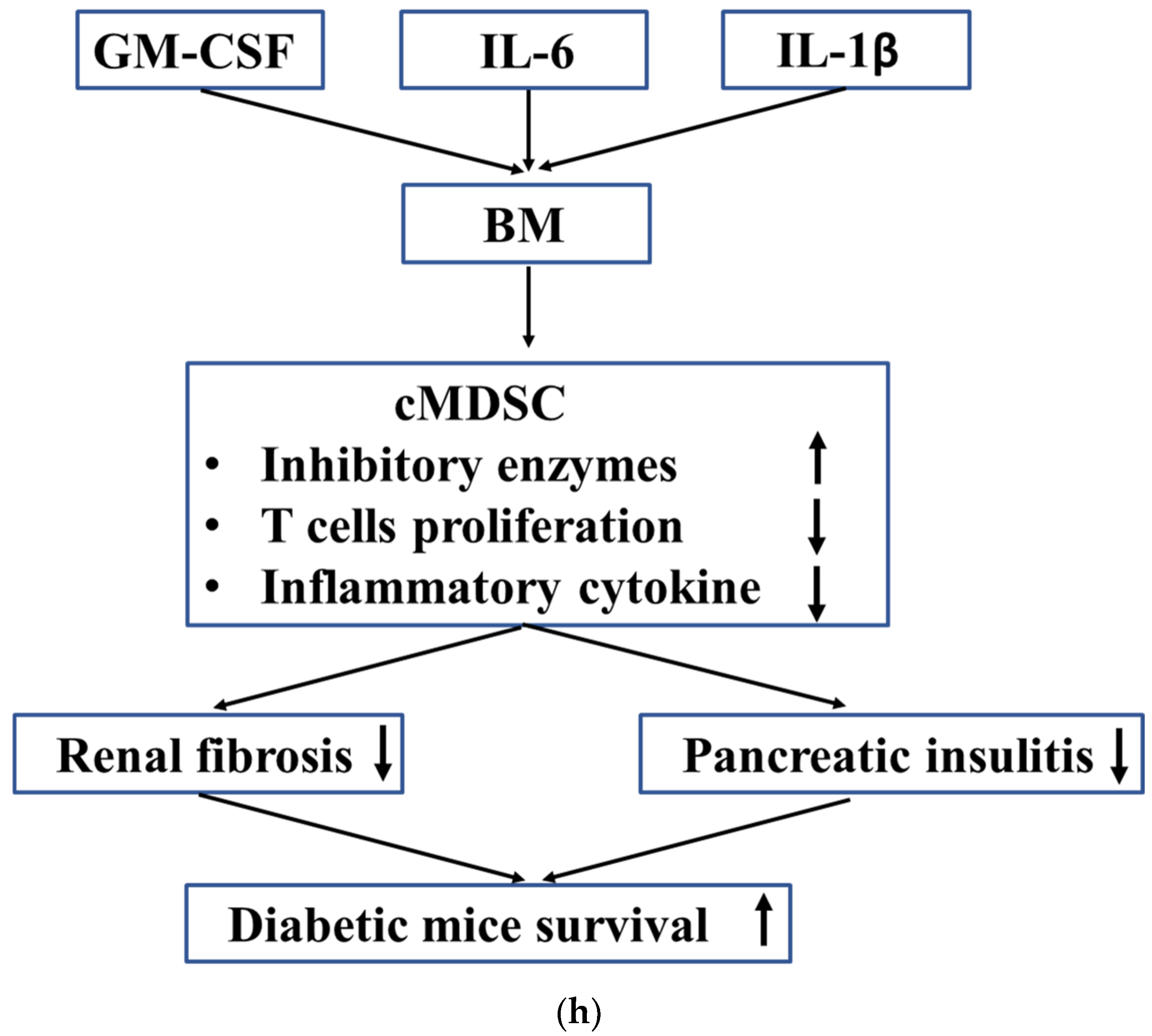 Cells 12 01507 g003d