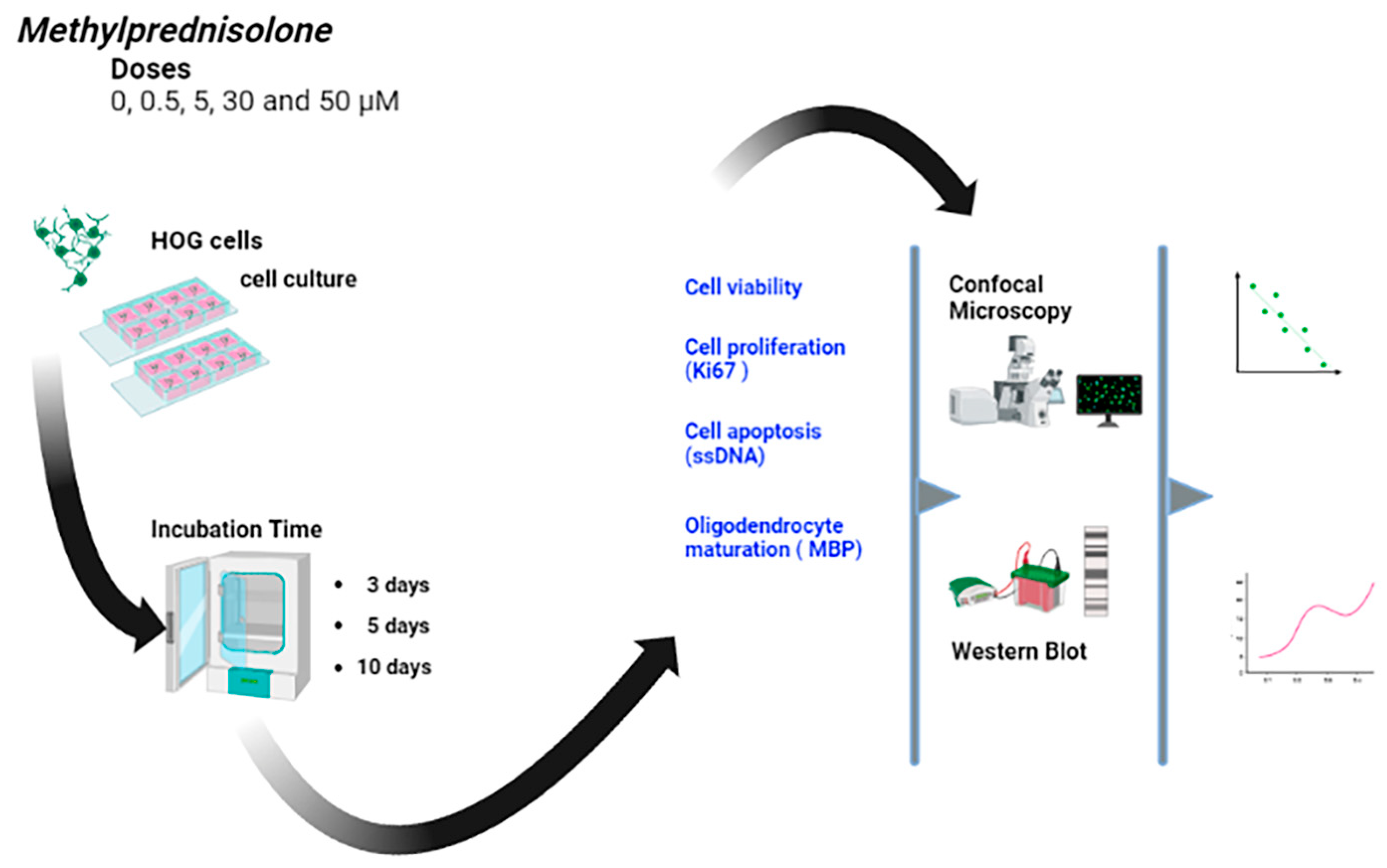 Cells 12 01515 g001 Cells 12 01515 g001