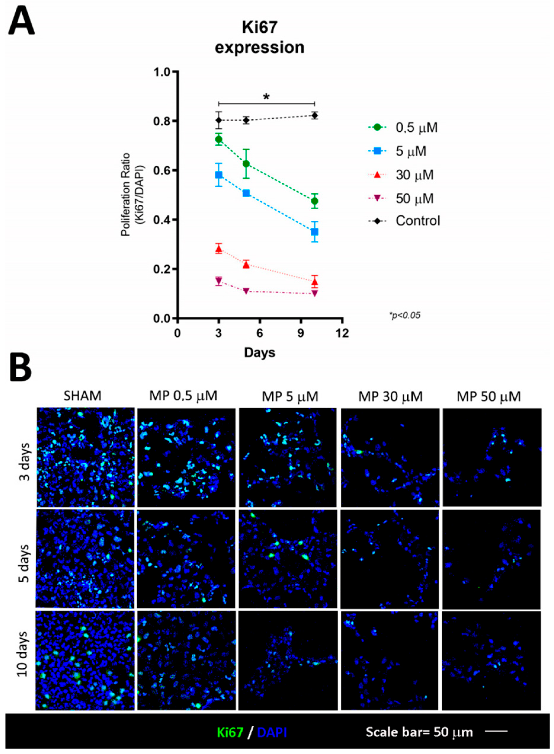 Cells 12 01515 g003 Cells 12 01515 g003