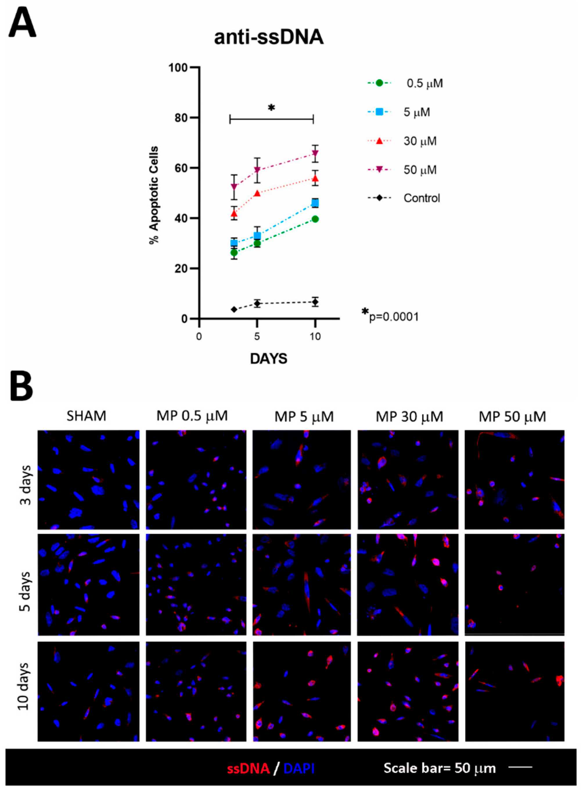 Cells 12 01515 g004 Cells 12 01515 g004