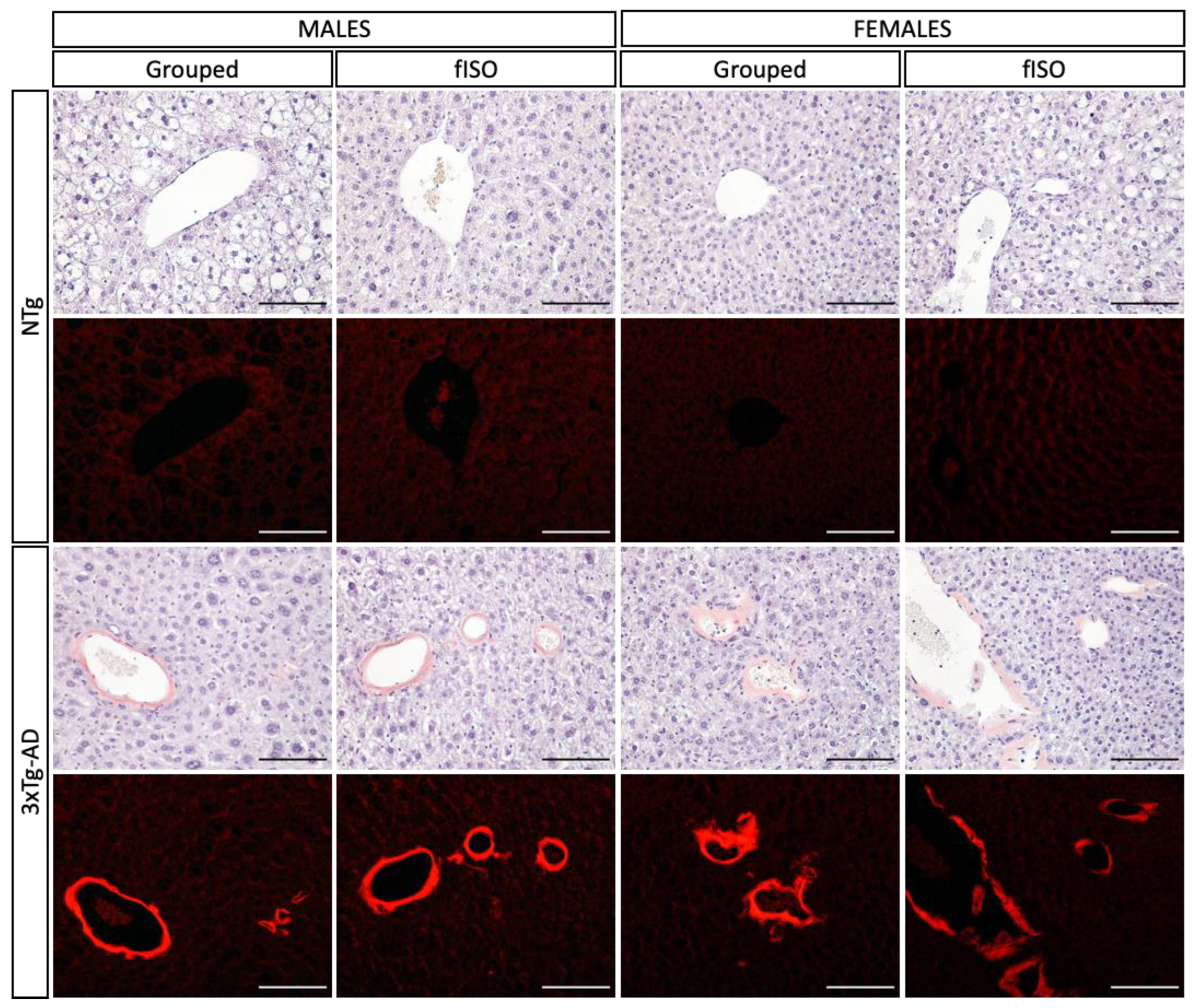Cells 12 01517 g005 Cells 12 01517 g005