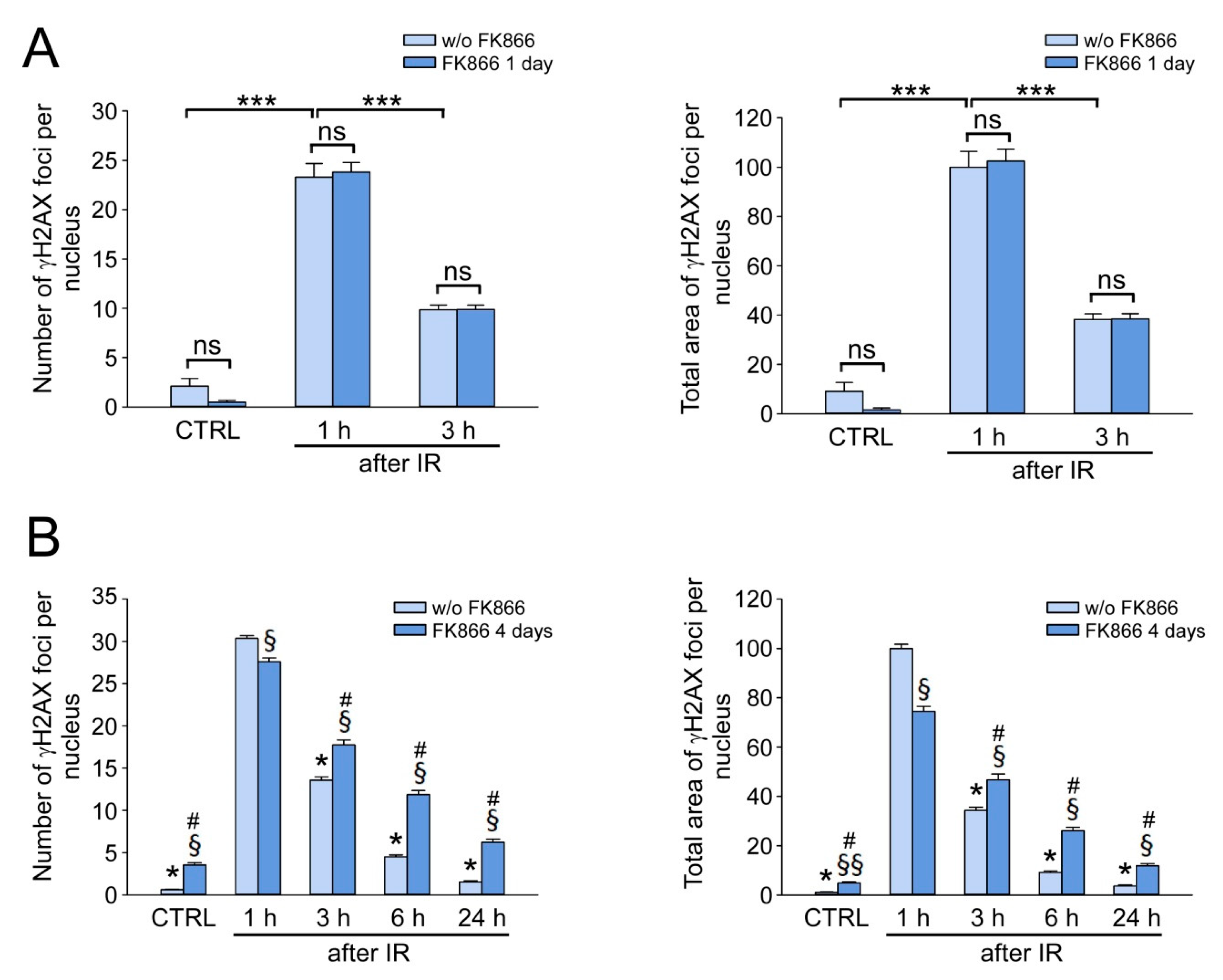 Cells 12 01518 g004 Cells 12 01518 g004