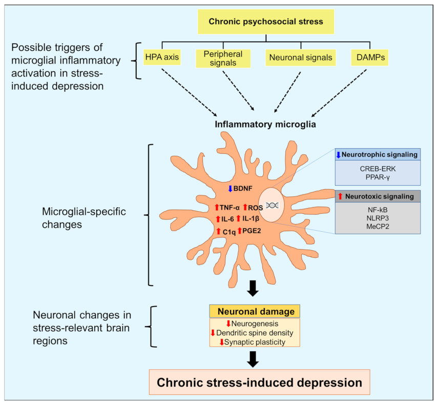 Cells 12 01521 g001 Cells 12 01521 g001