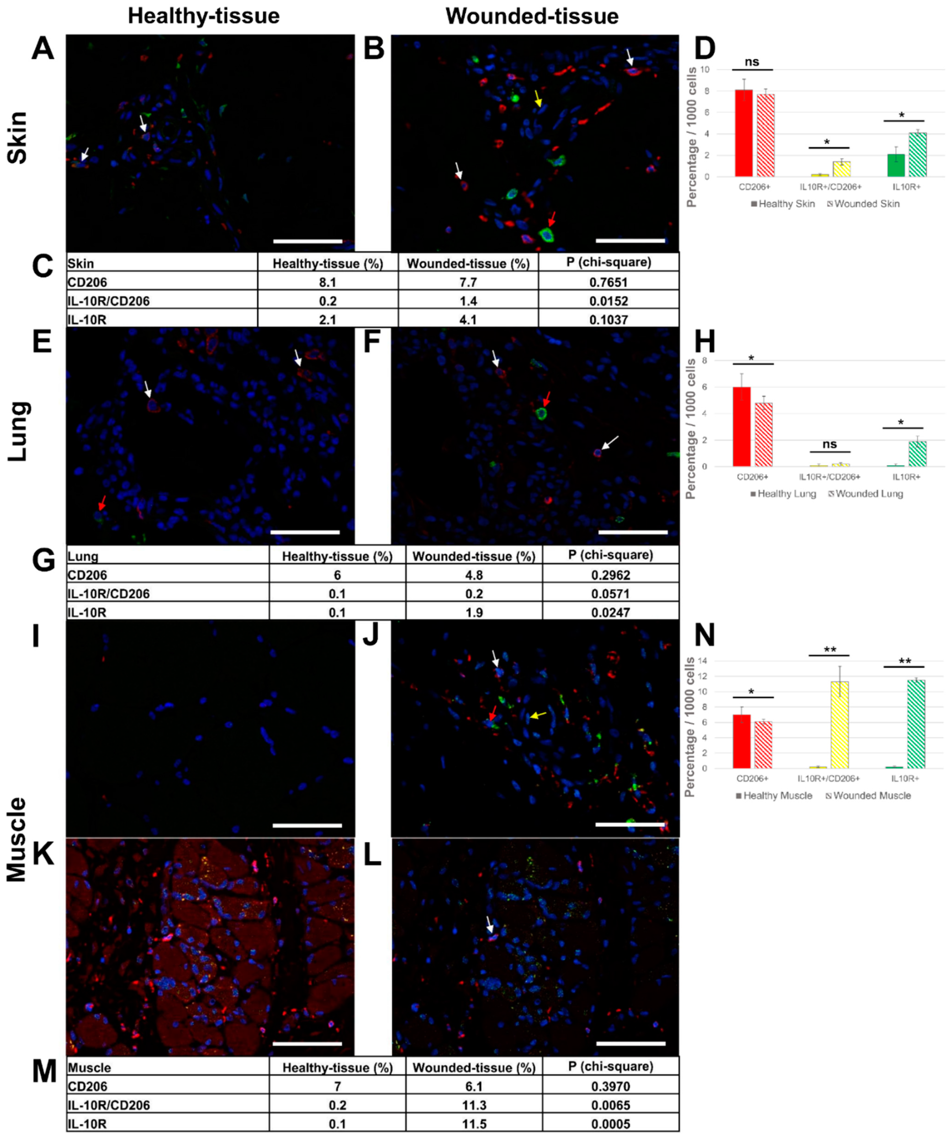 Cells 12 01522 g006 Cells 12 01522 g006