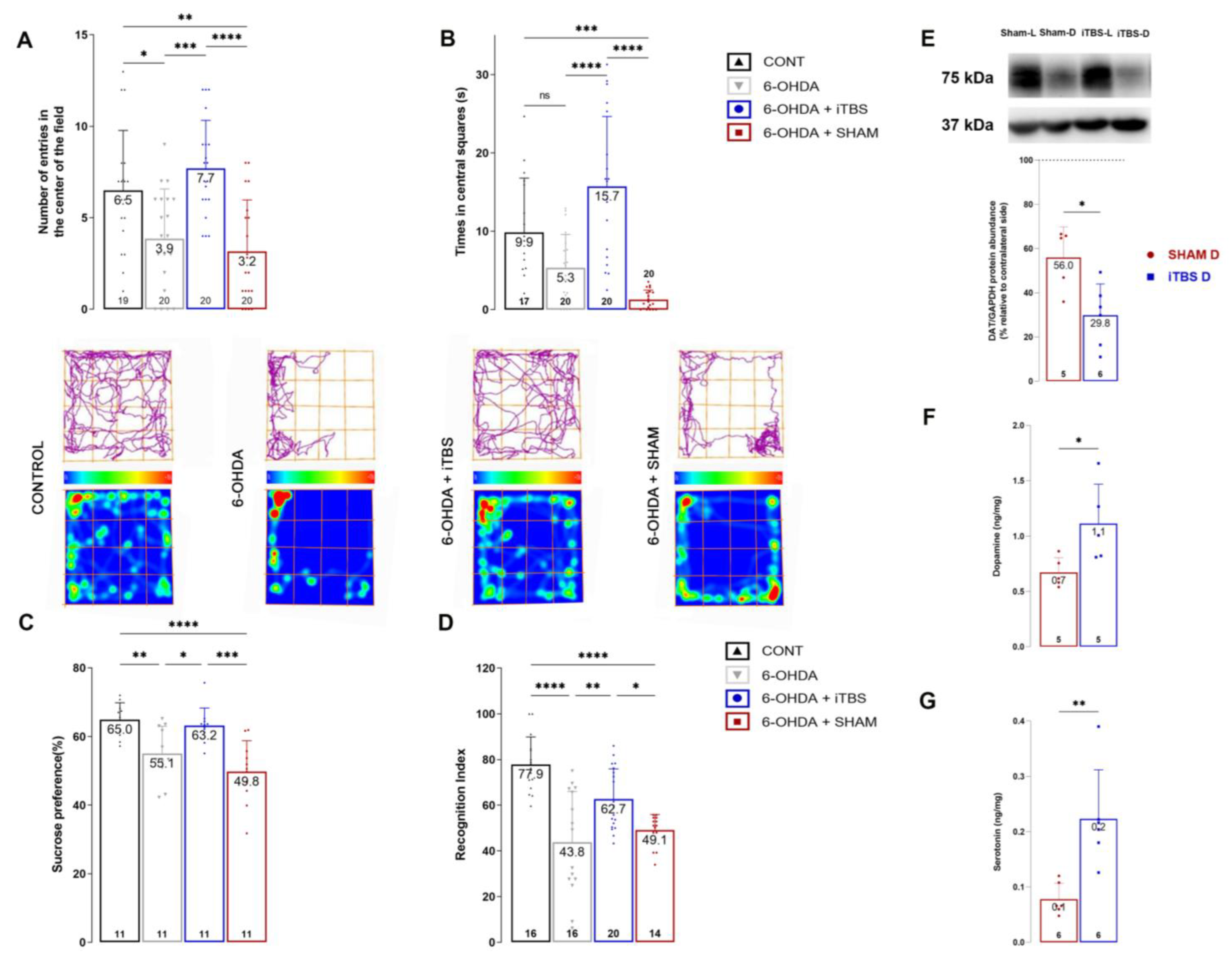 Cells 12 01525 g004 Cells 12 01525 g004