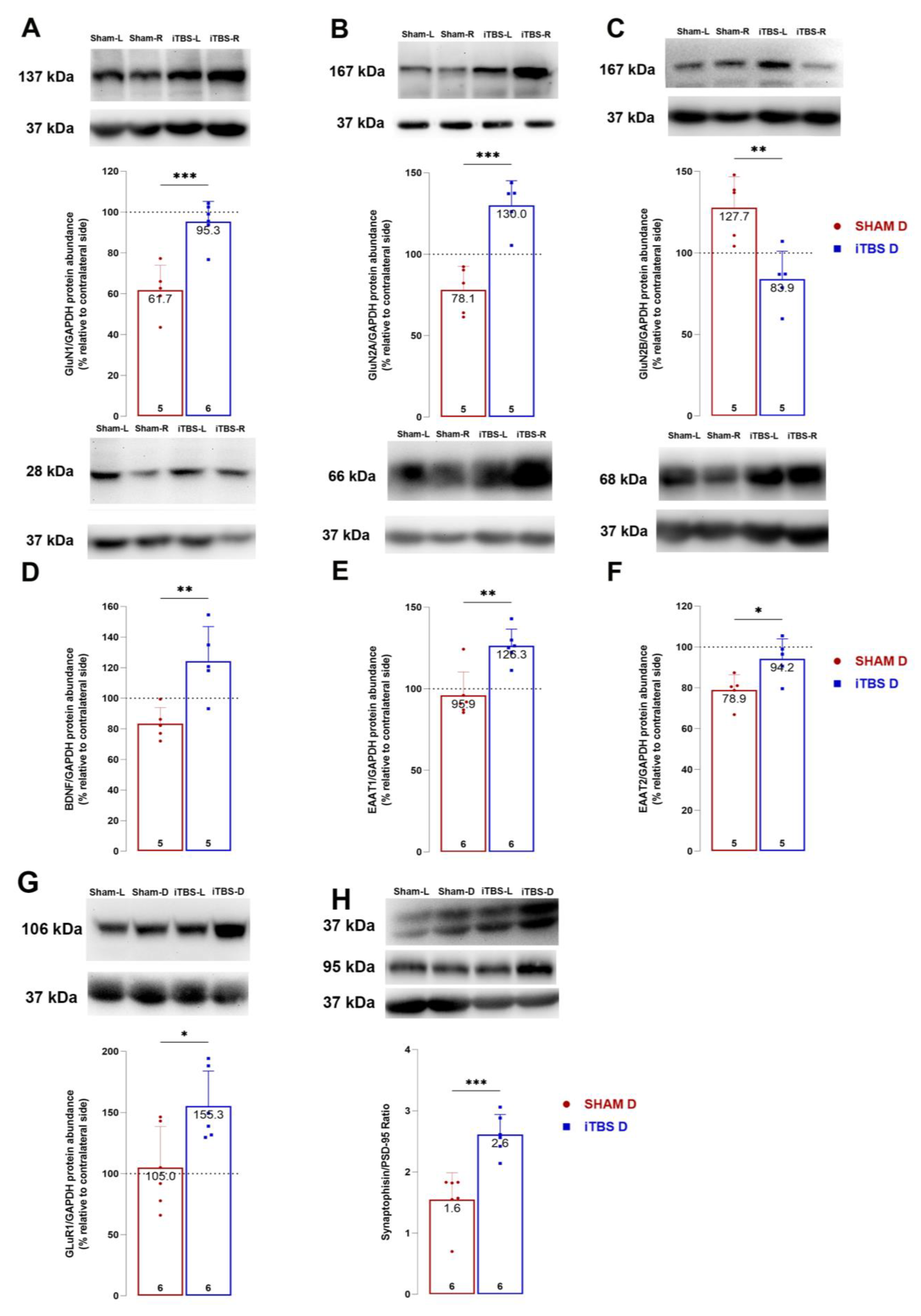 Cells 12 01525 g006 Cells 12 01525 g006