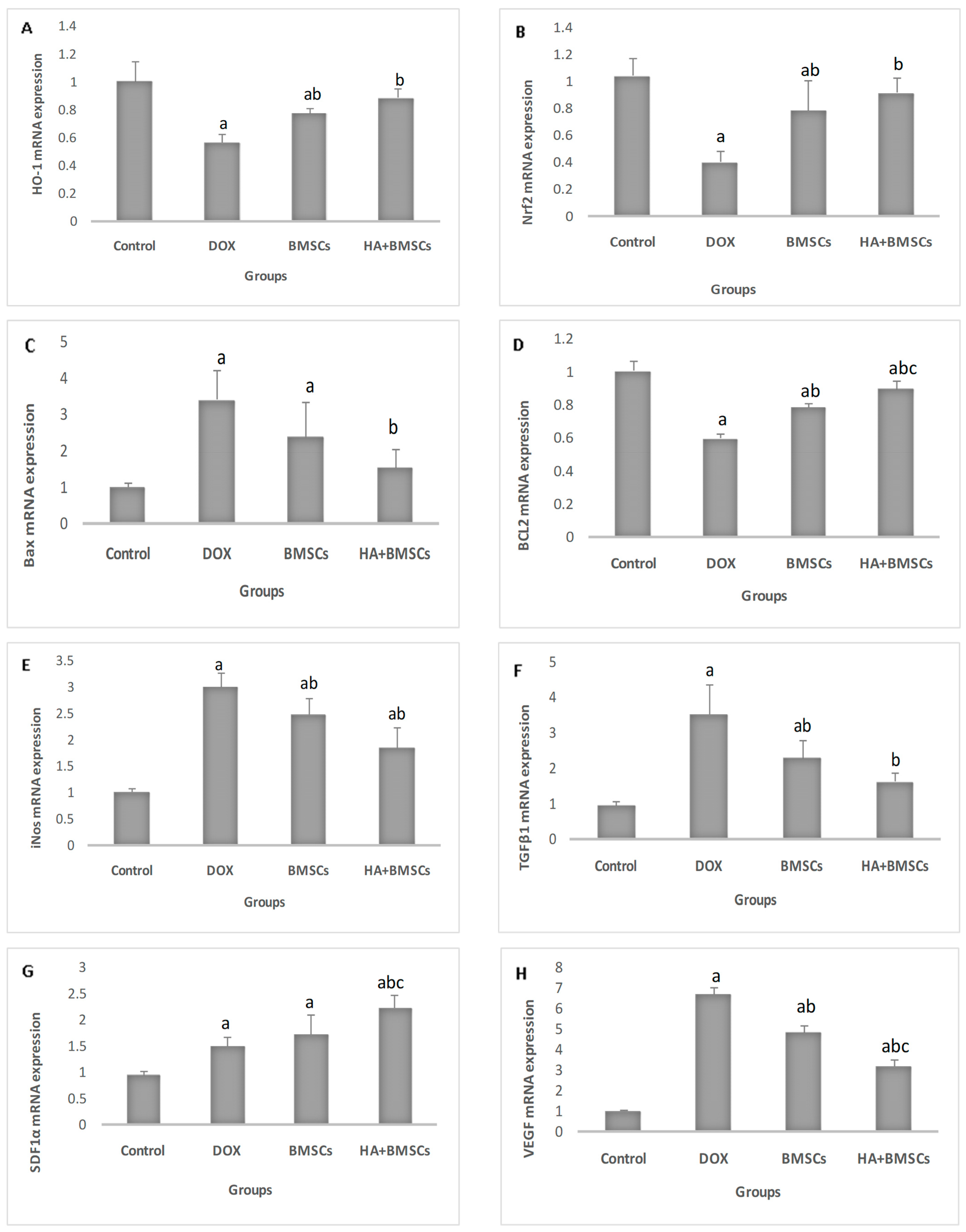 Cells 12 01526 g002a