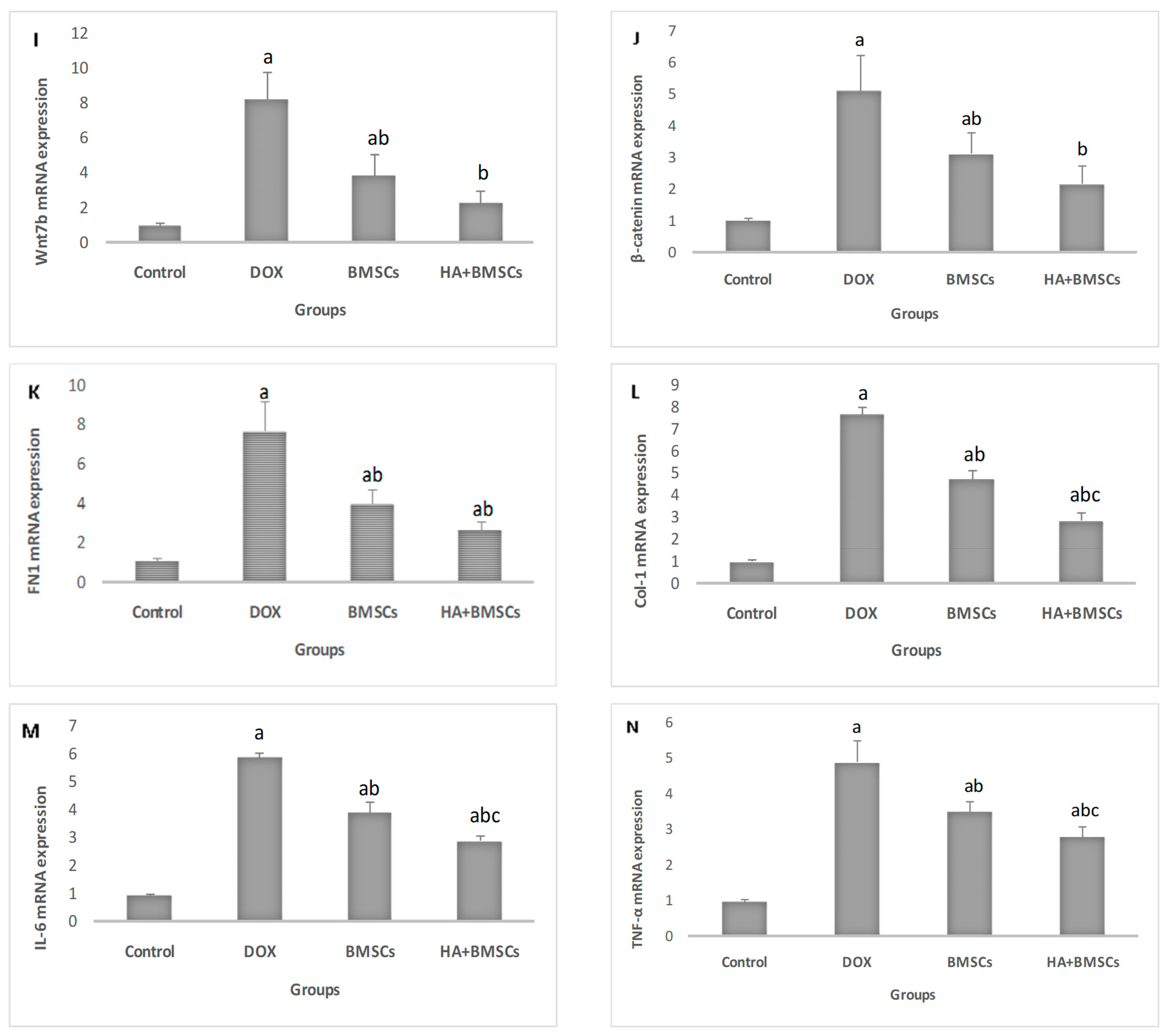 Cells 12 01526 g002b