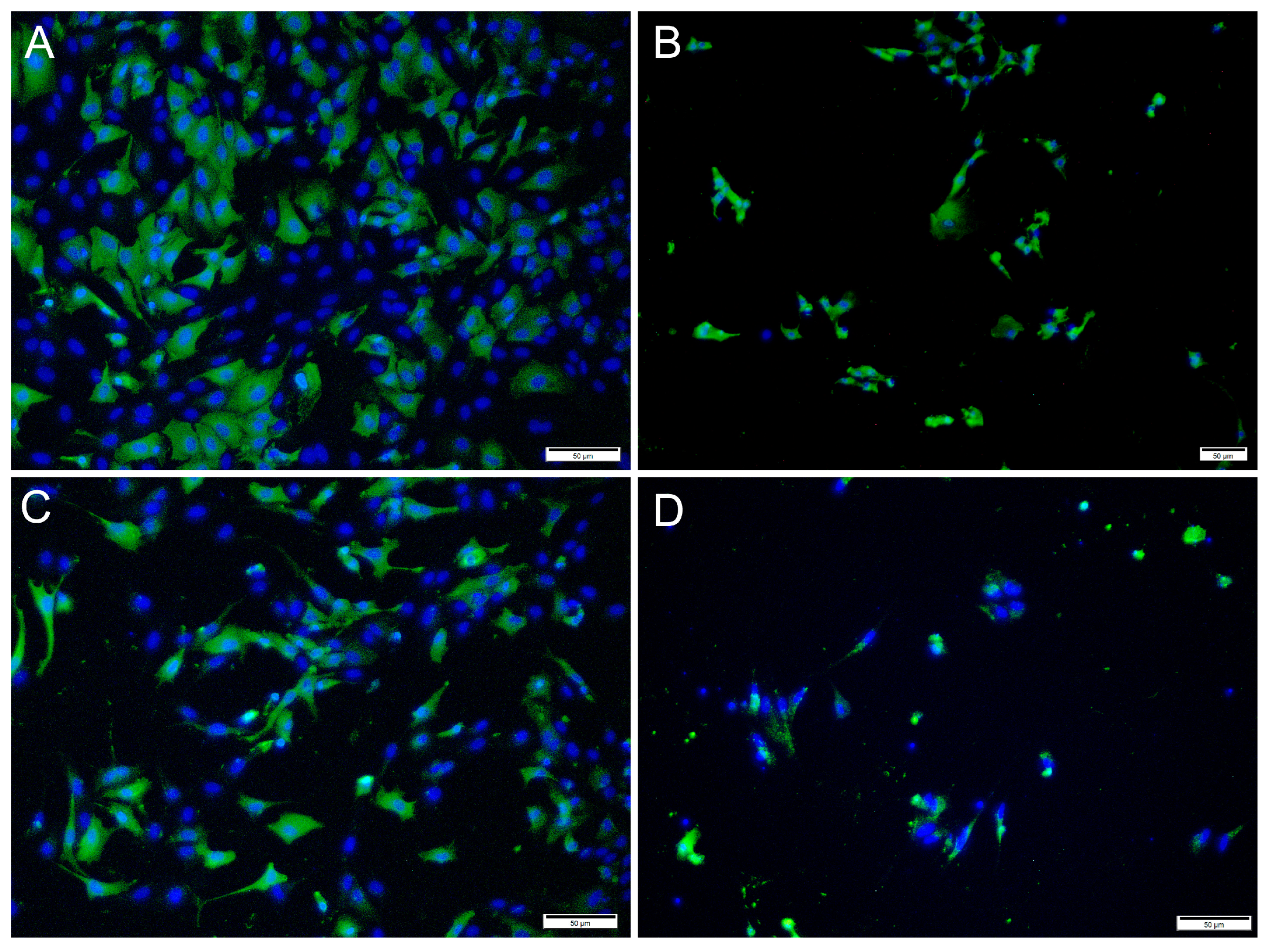 Cells 12 01531 g004 Cells 12 01531 g004