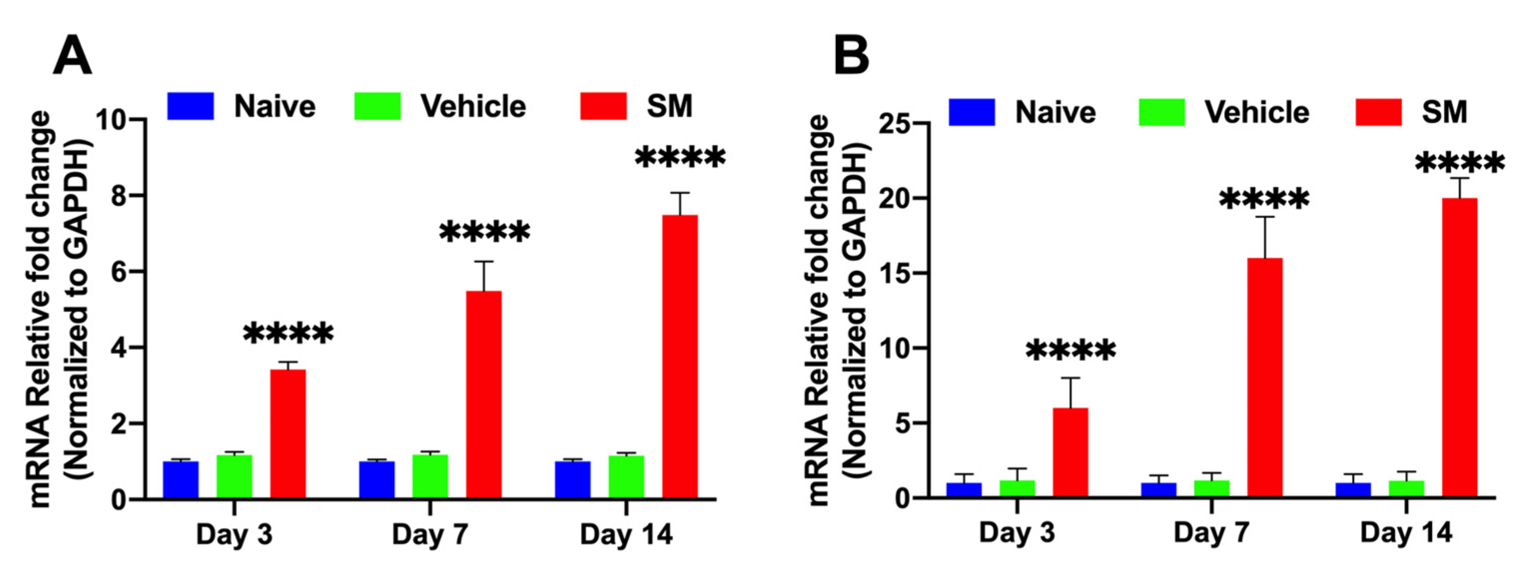 Cells 12 01533 g001 Cells 12 01533 g001