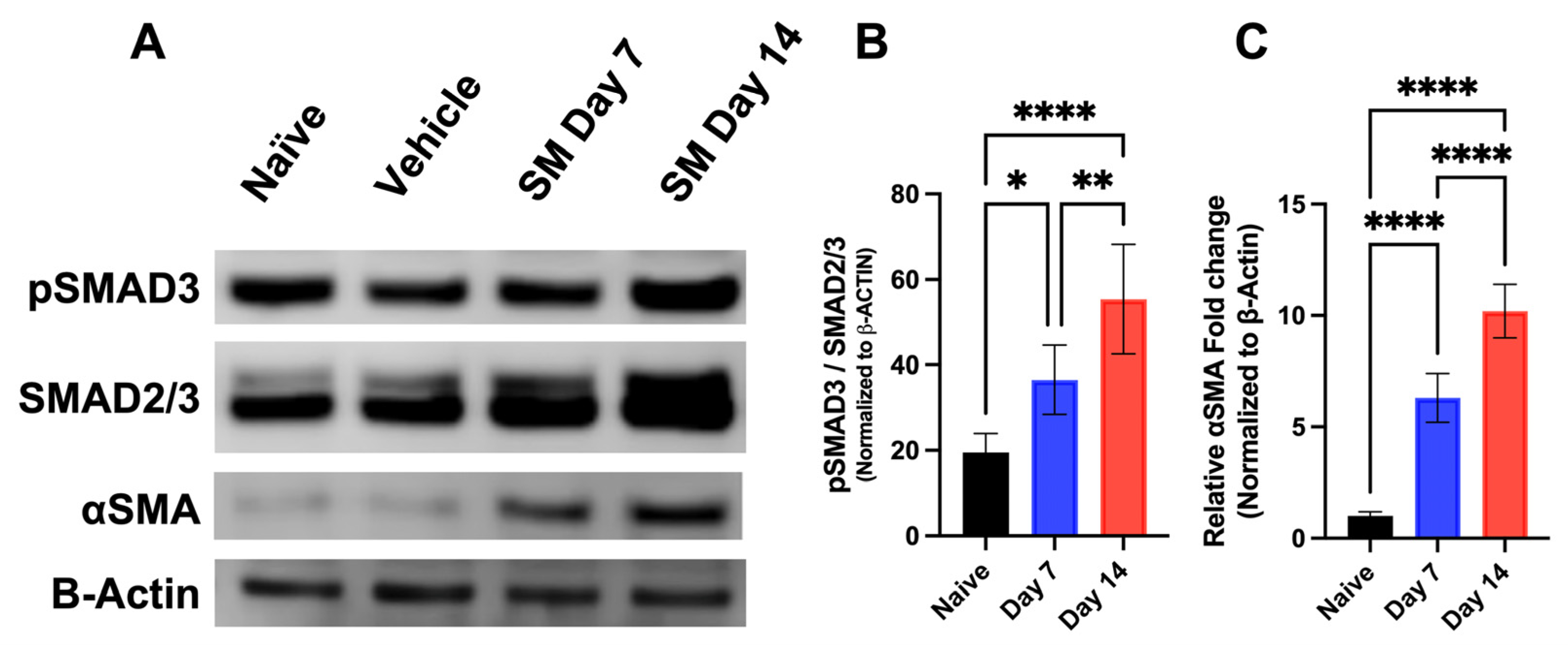 Cells 12 01533 g003 Cells 12 01533 g003