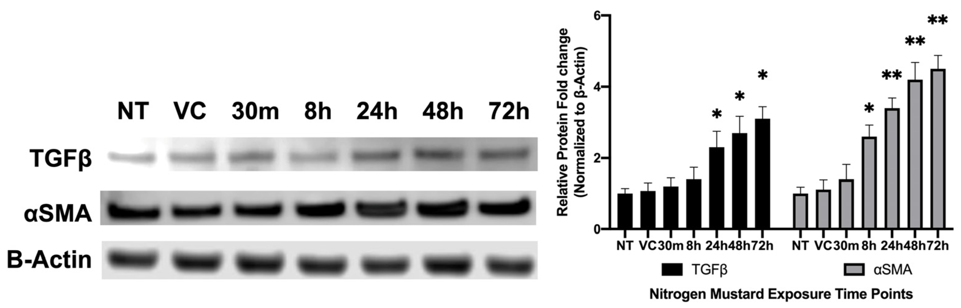 Cells 12 01533 g005 Cells 12 01533 g005