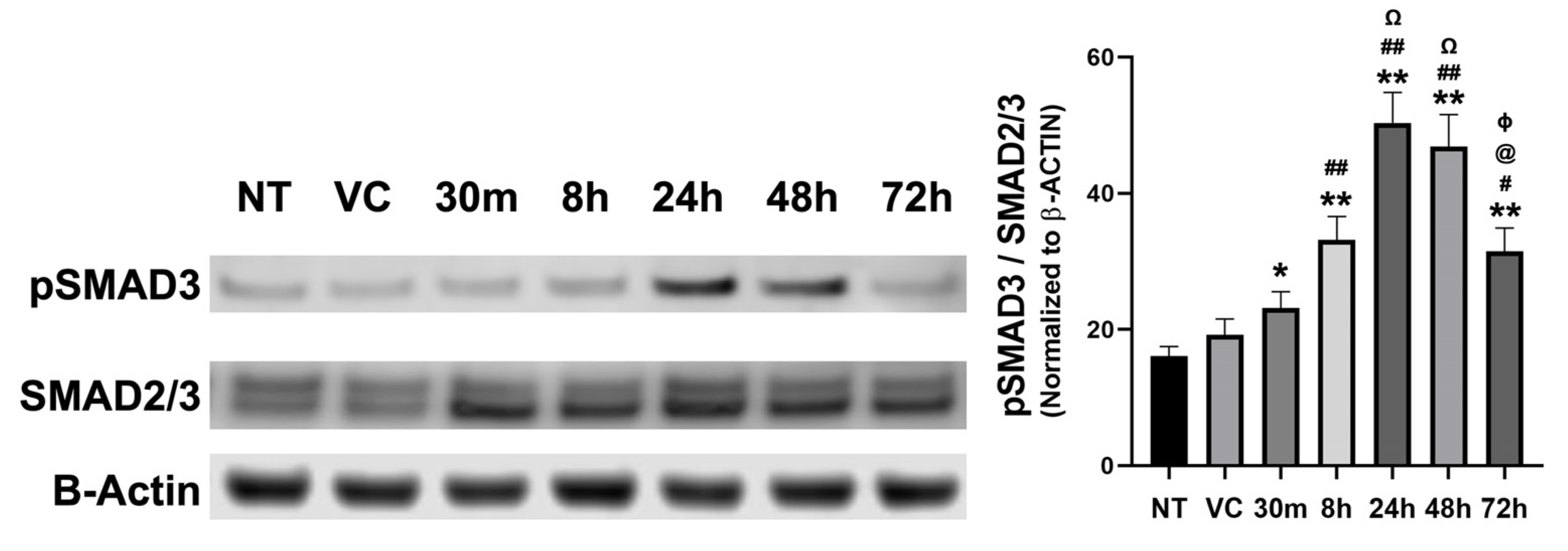 Cells 12 01533 g007 Cells 12 01533 g007