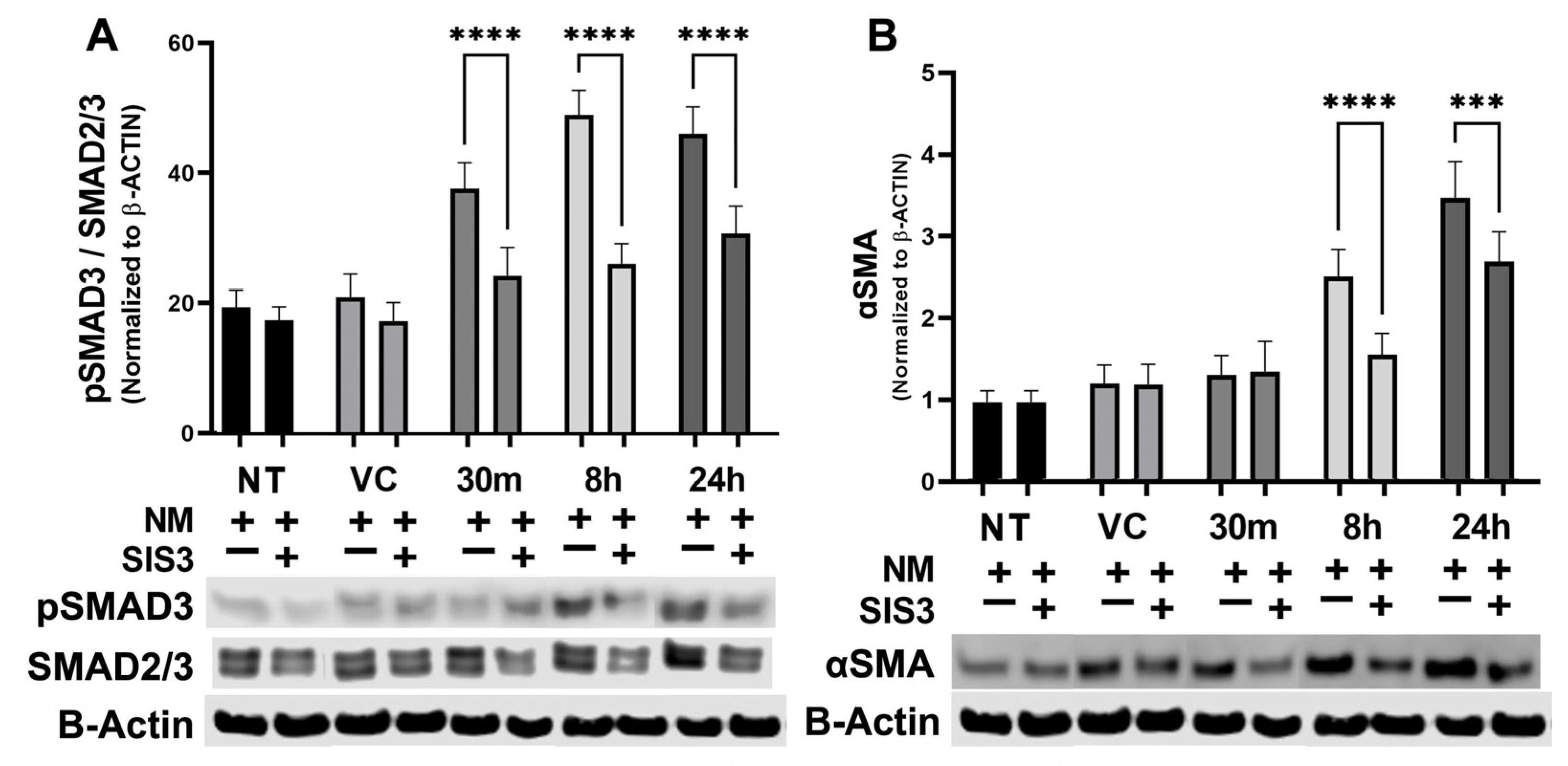 Cells 12 01533 g008 Cells 12 01533 g008