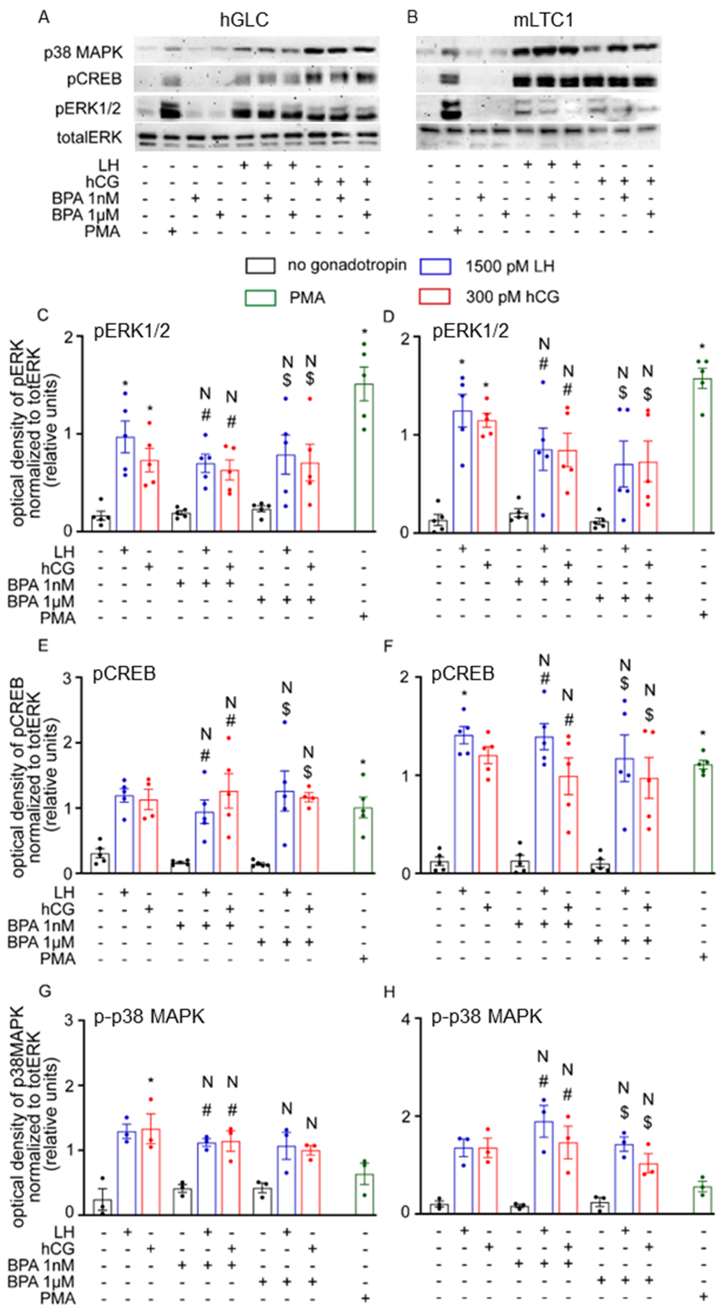 Cells 12 01537 g002 Cells 12 01537 g002