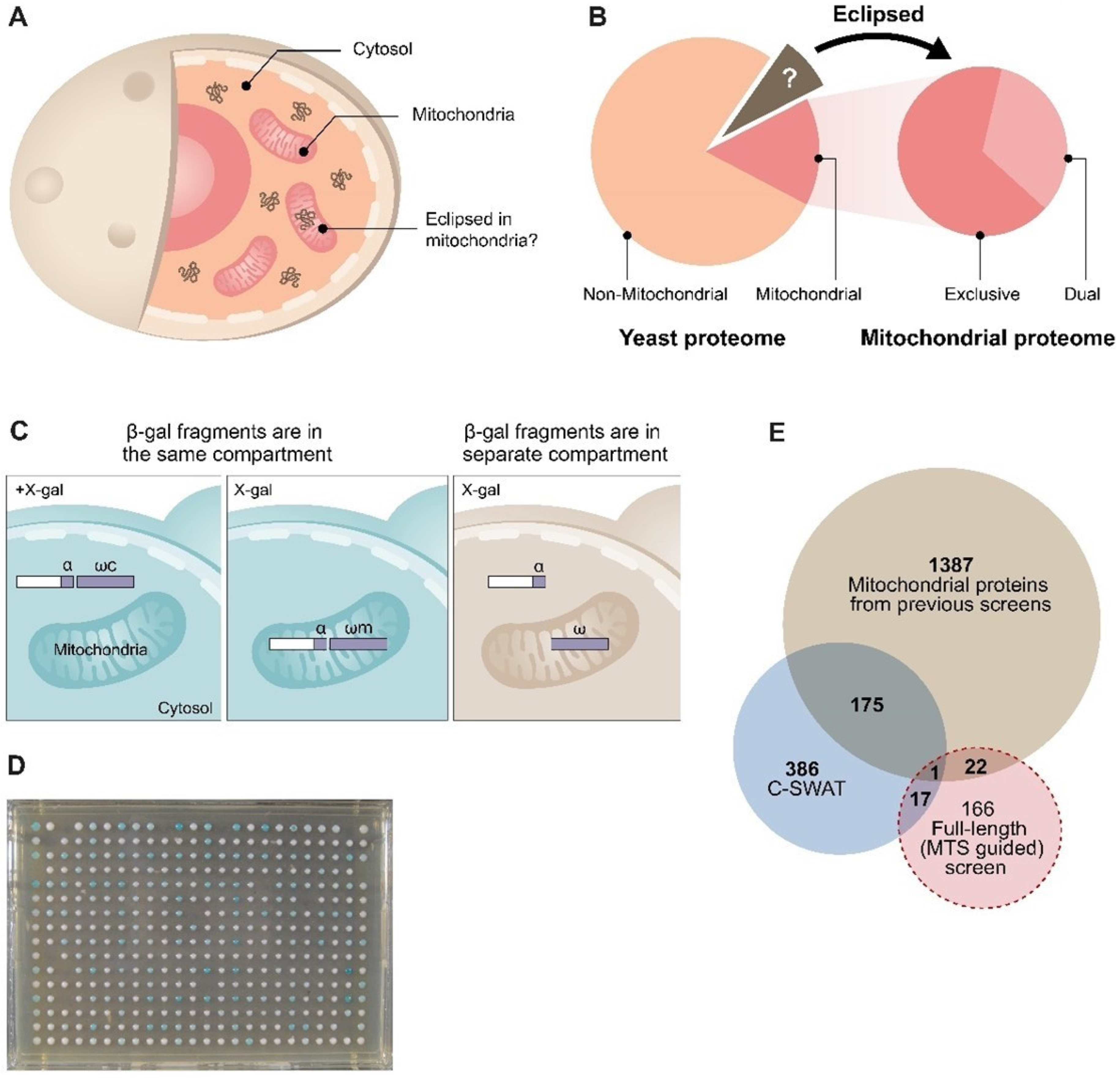 Cells 12 01550 g001 Cells 12 01550 g001