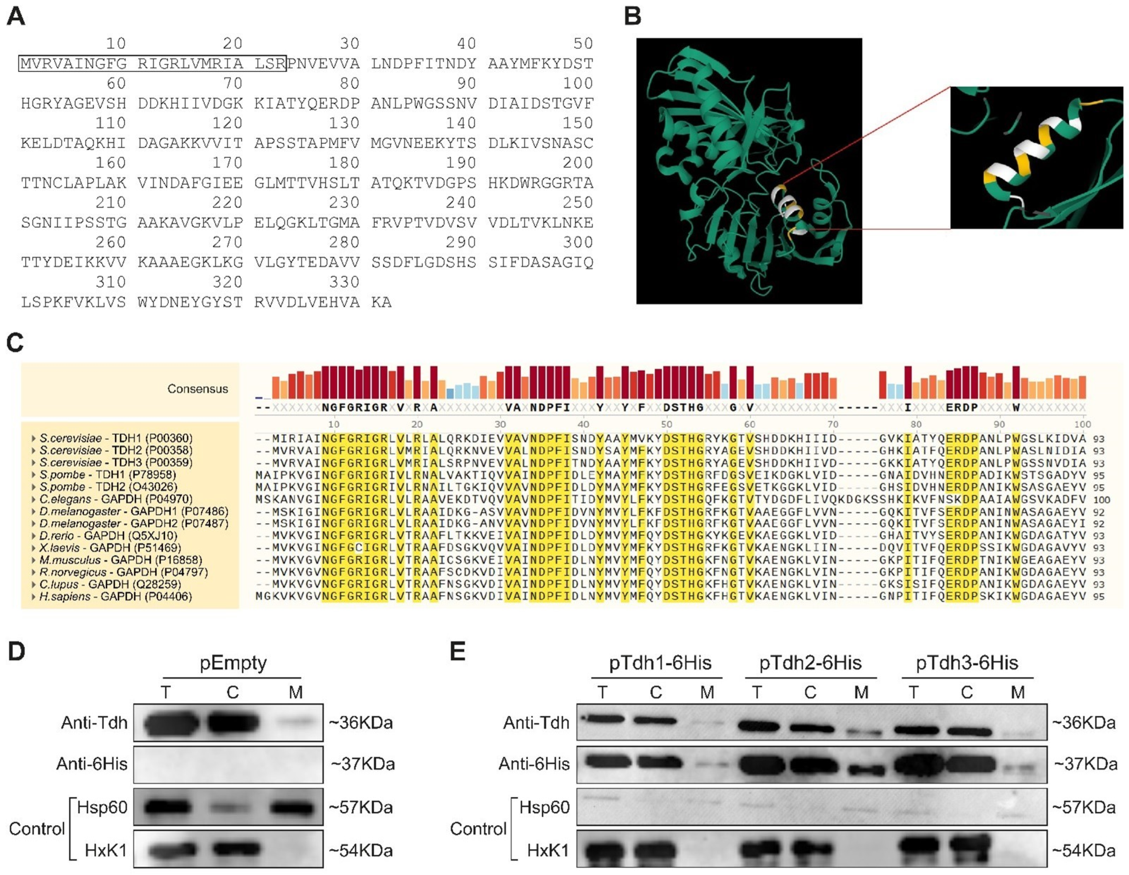 Cells 12 01550 g003 Cells 12 01550 g003