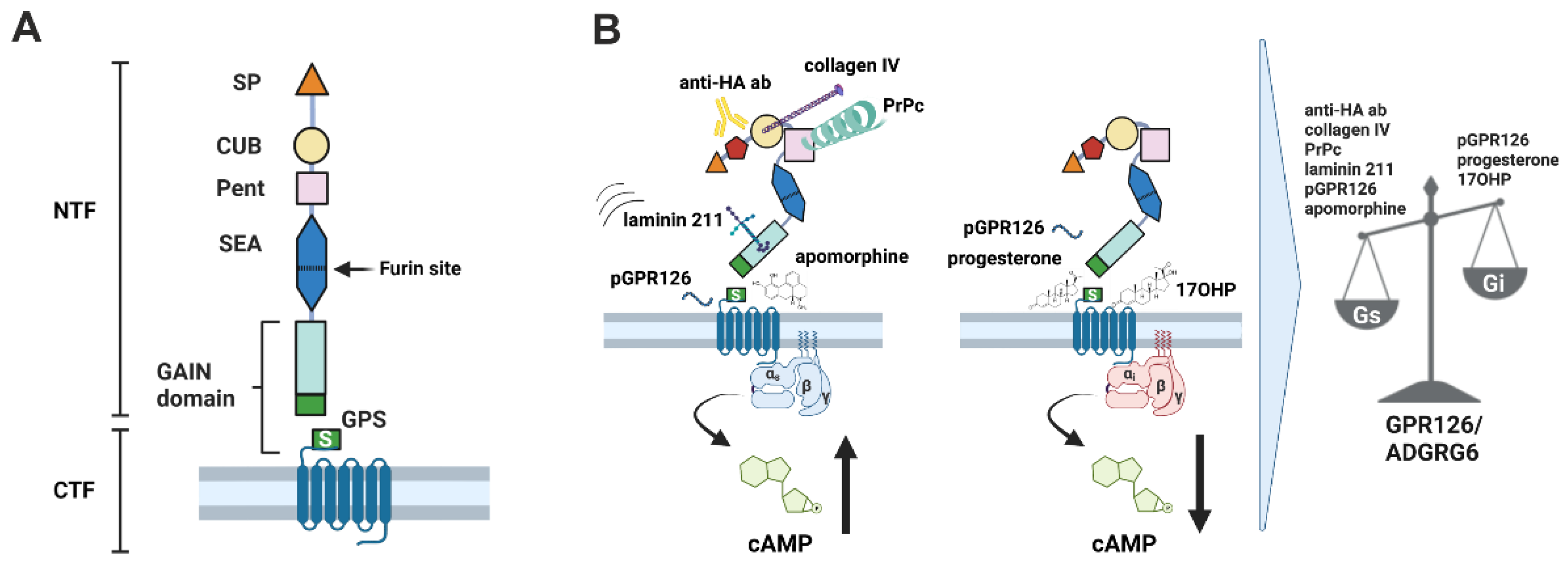 Cells 12 01551 g001 Cells 12 01551 g001