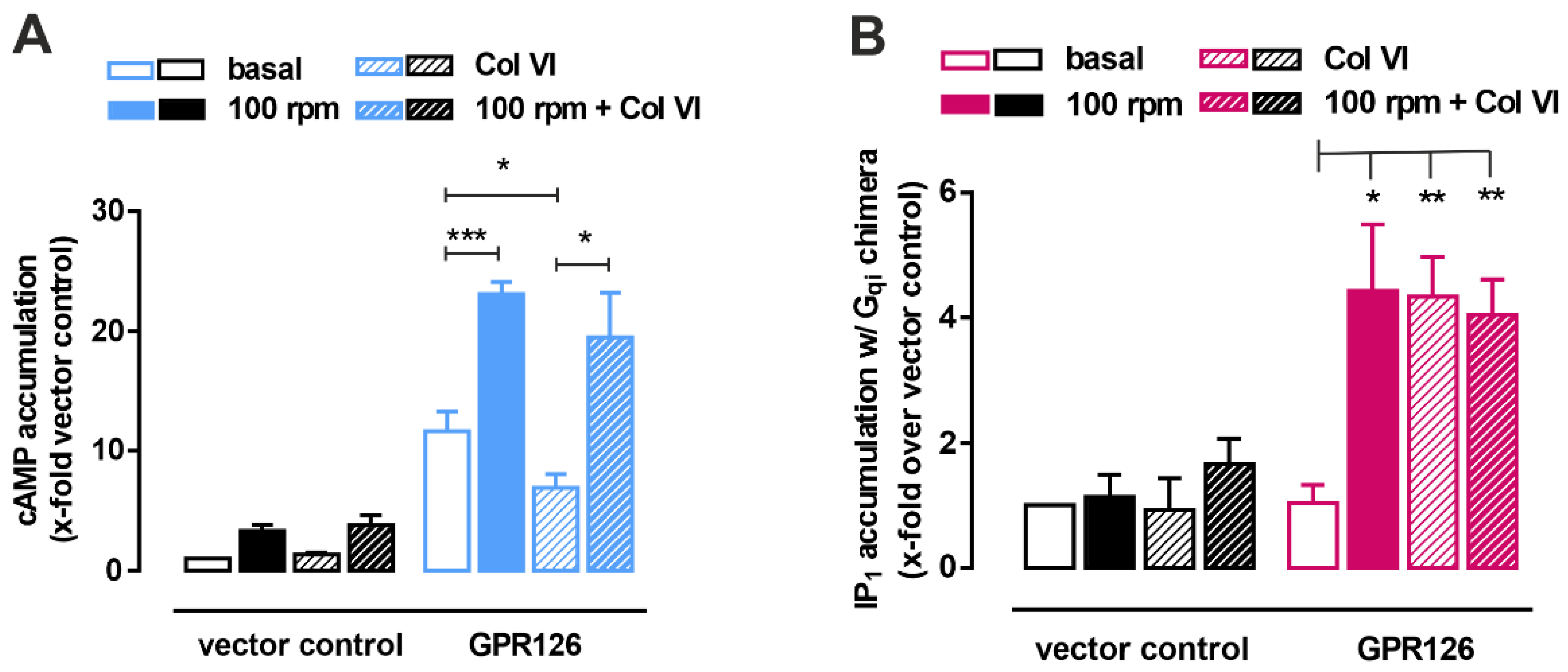 Cells 12 01551 g004 Cells 12 01551 g004
