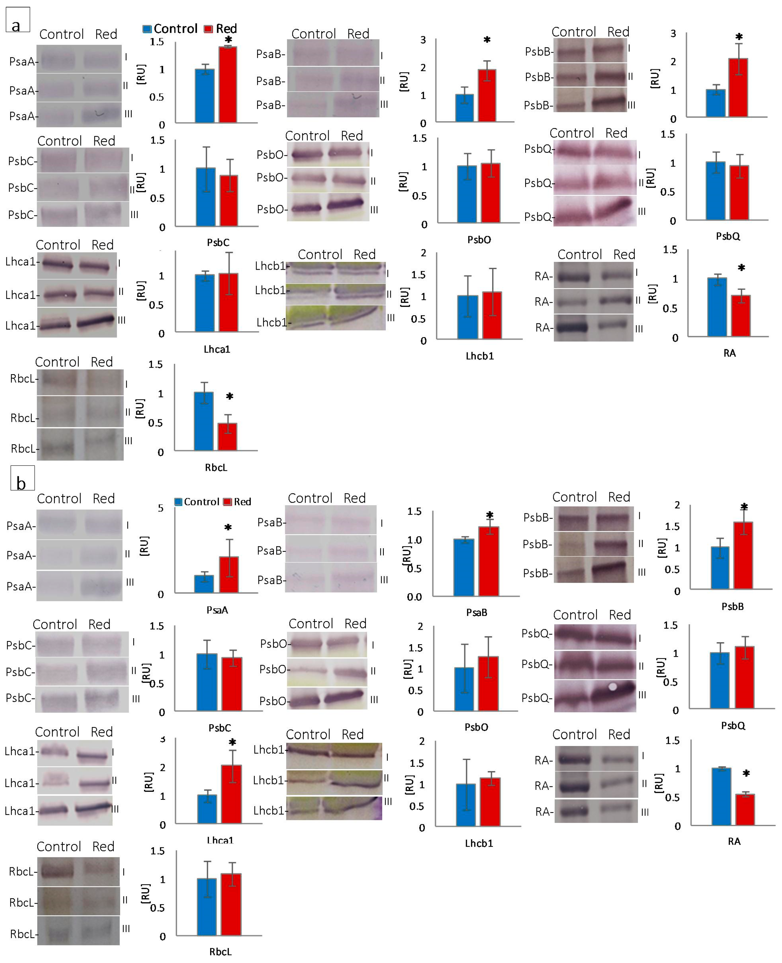 Cells 12 01552 g004 Cells 12 01552 g004