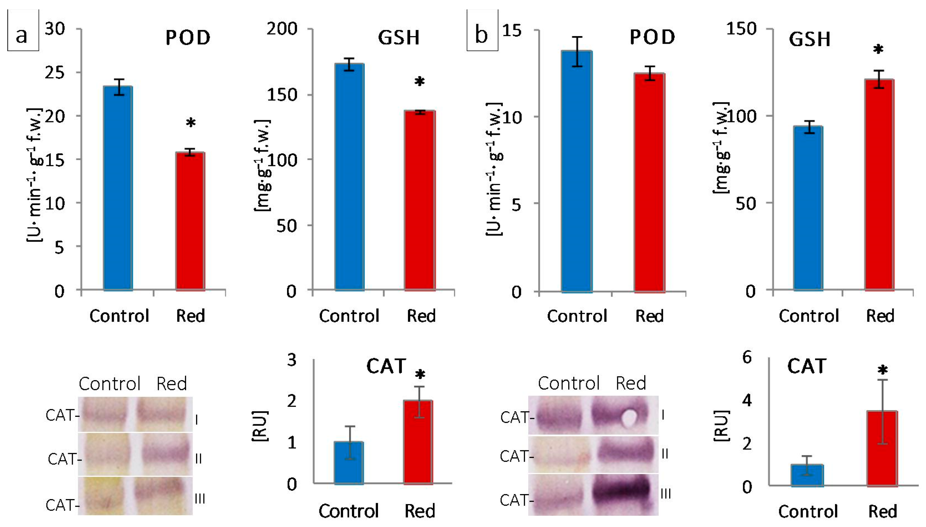 Cells 12 01552 g006 Cells 12 01552 g006