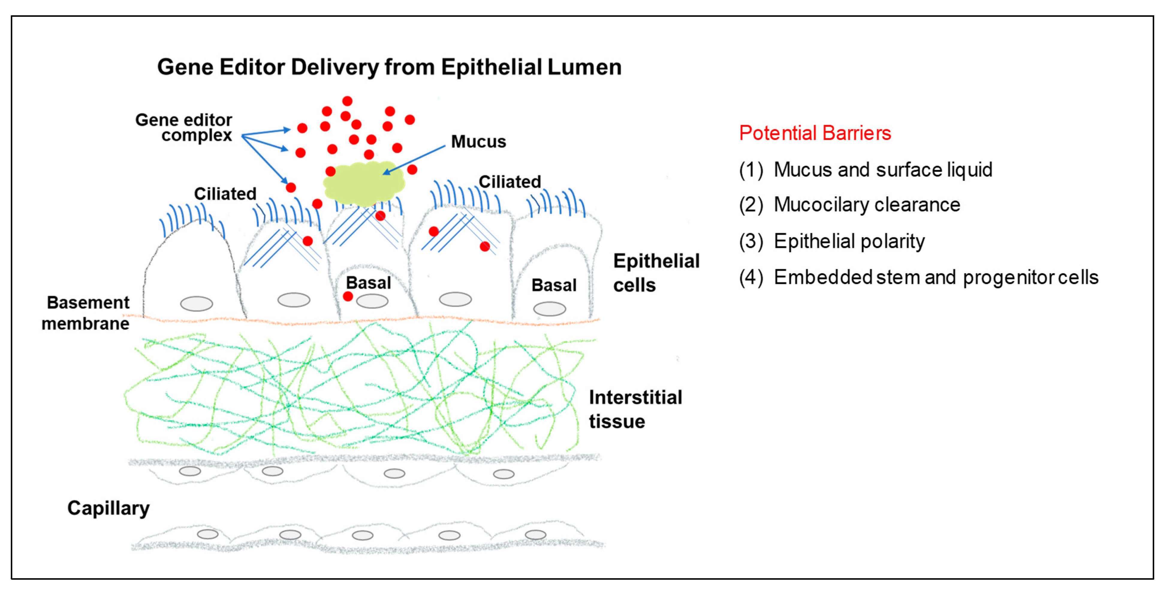 Cells 12 01555 g001 Cells 12 01555 g001