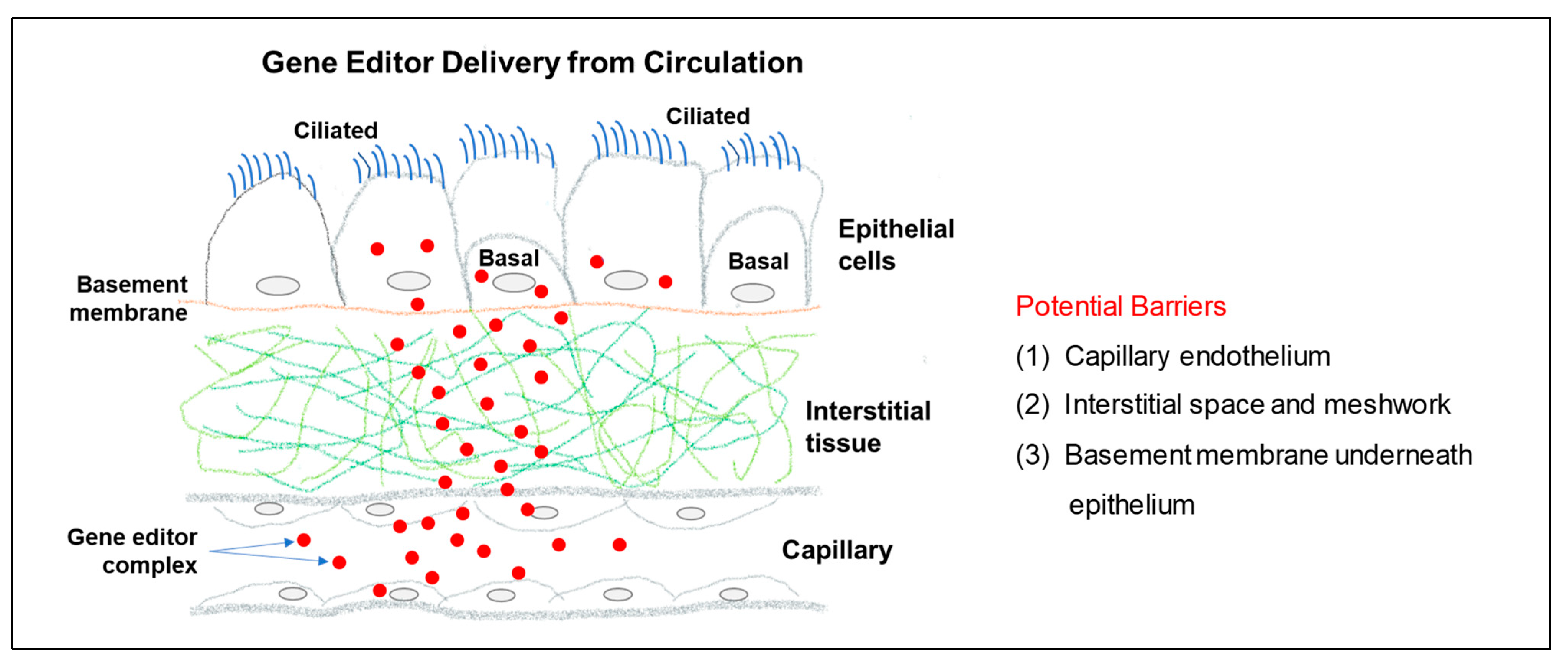 Cells 12 01555 g002 Cells 12 01555 g002