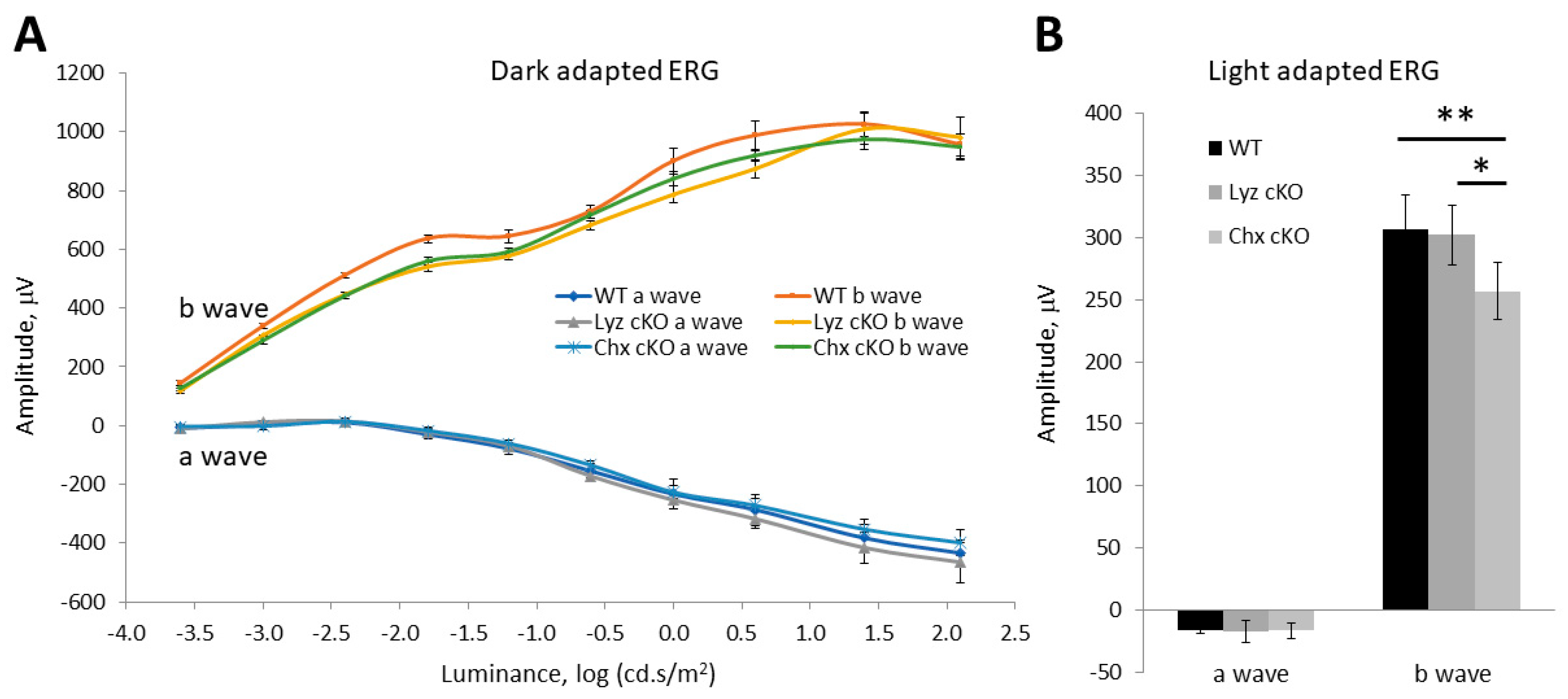 Cells 12 01558 g004 Cells 12 01558 g004