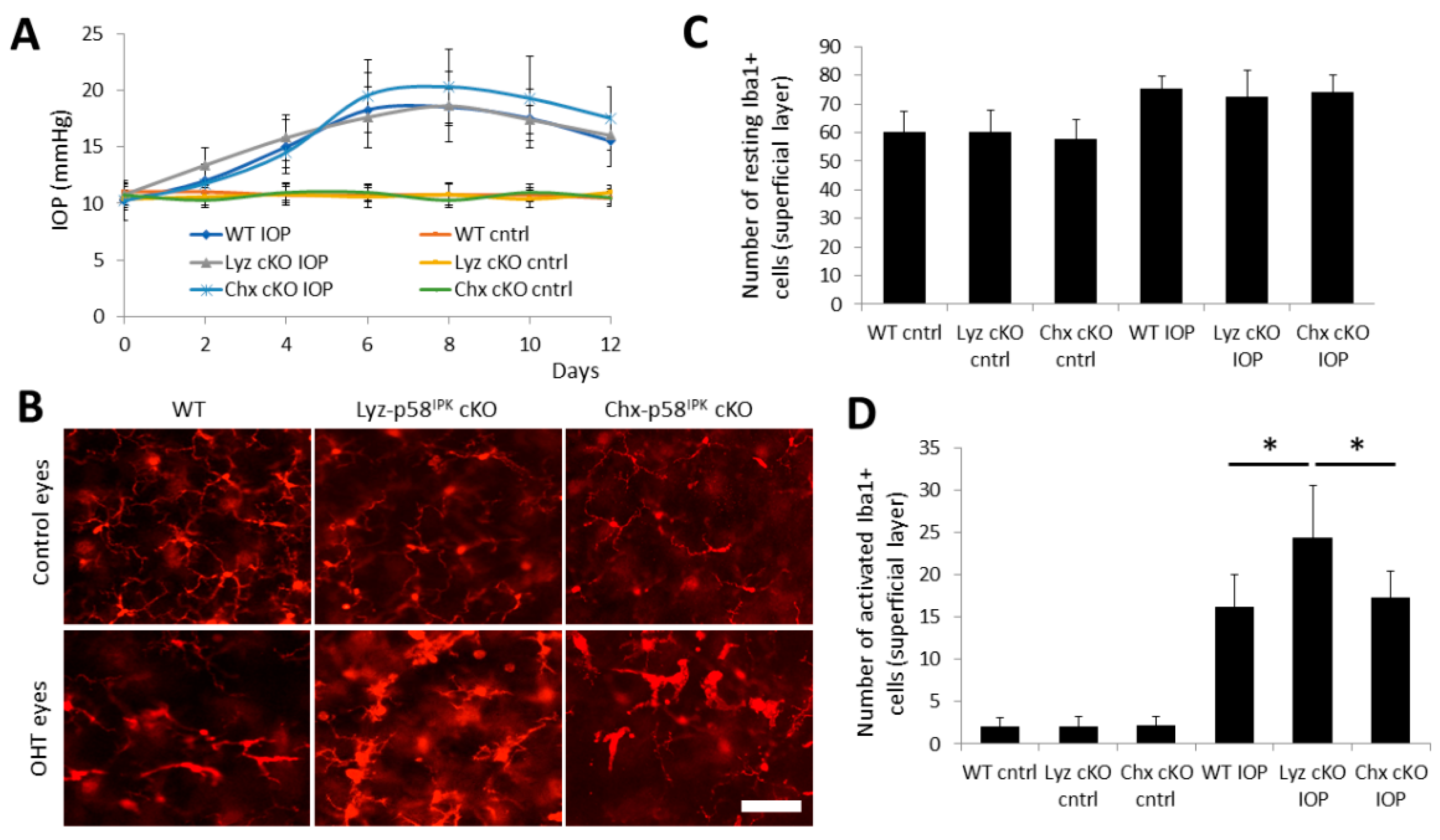 Cells 12 01558 g006 Cells 12 01558 g006